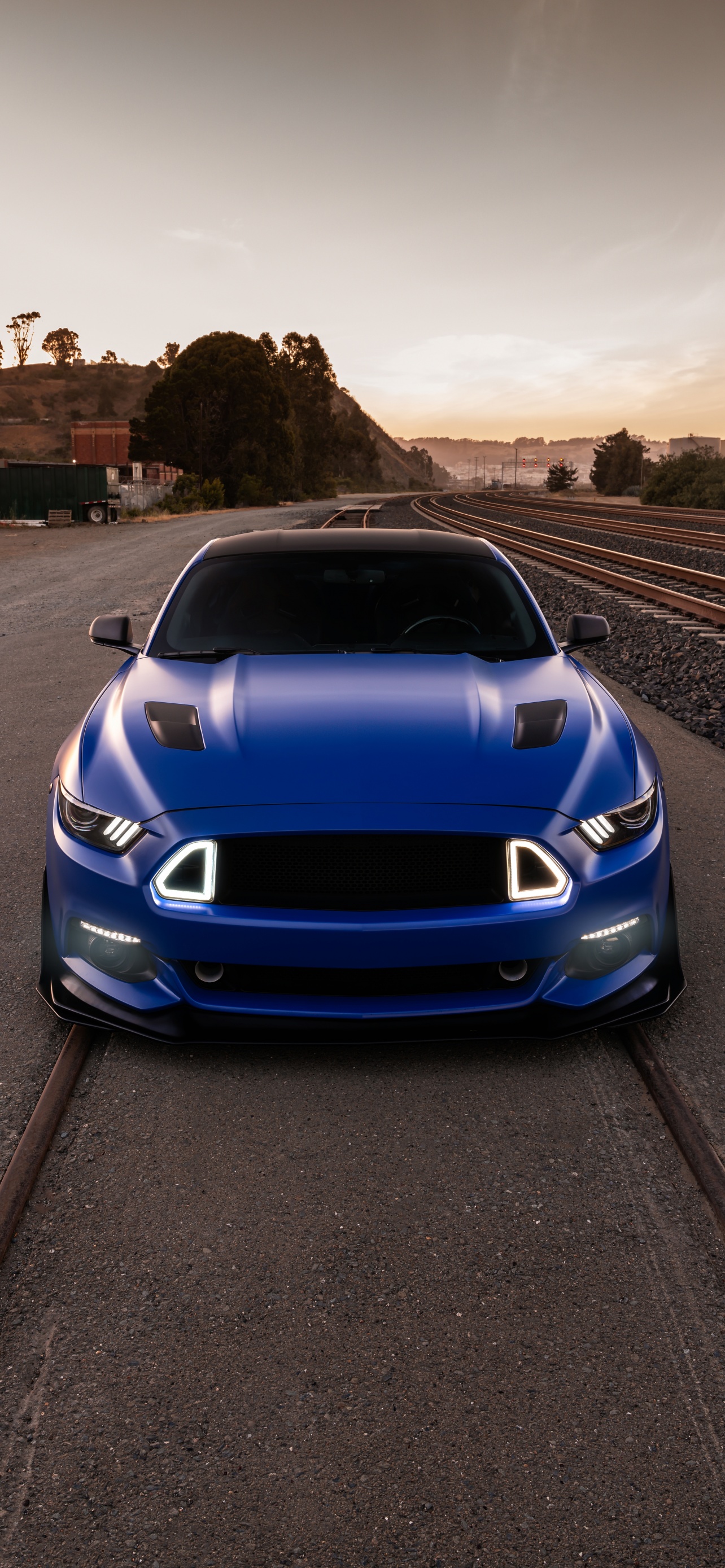 Mustang Wallpaper