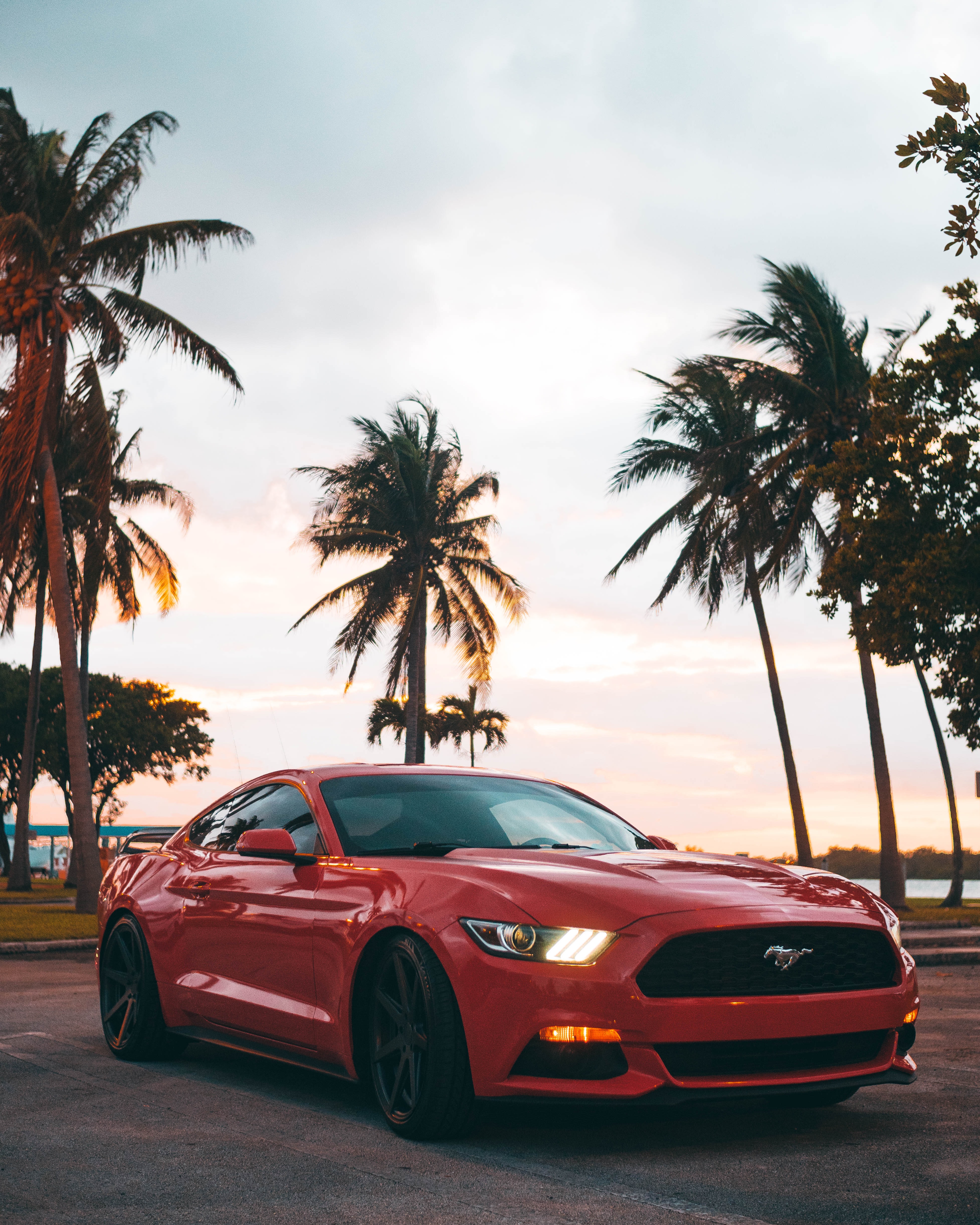 Mustang Wallpaper