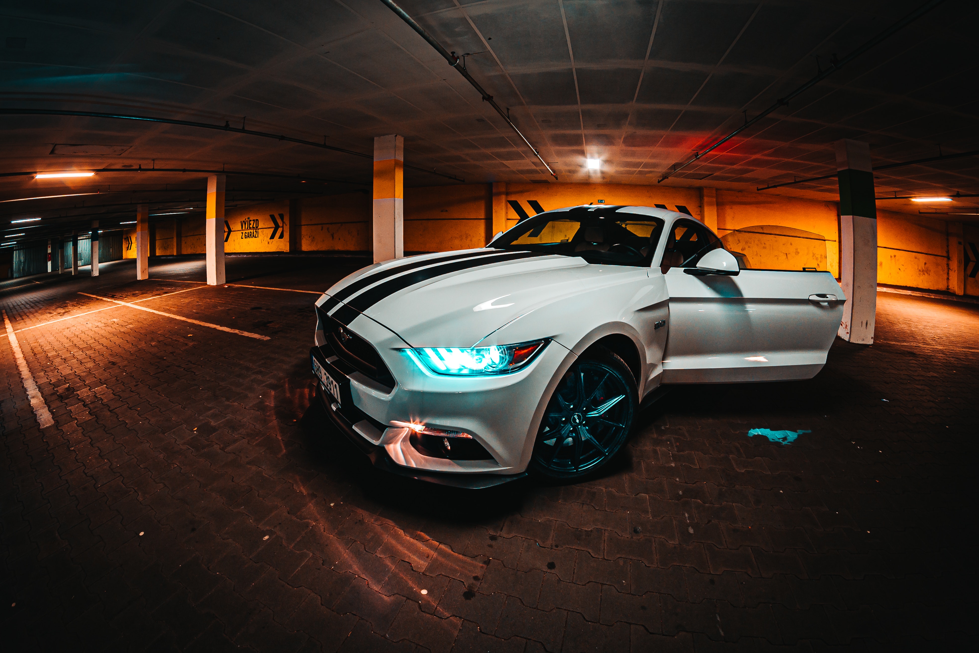 Mustang Wallpaper