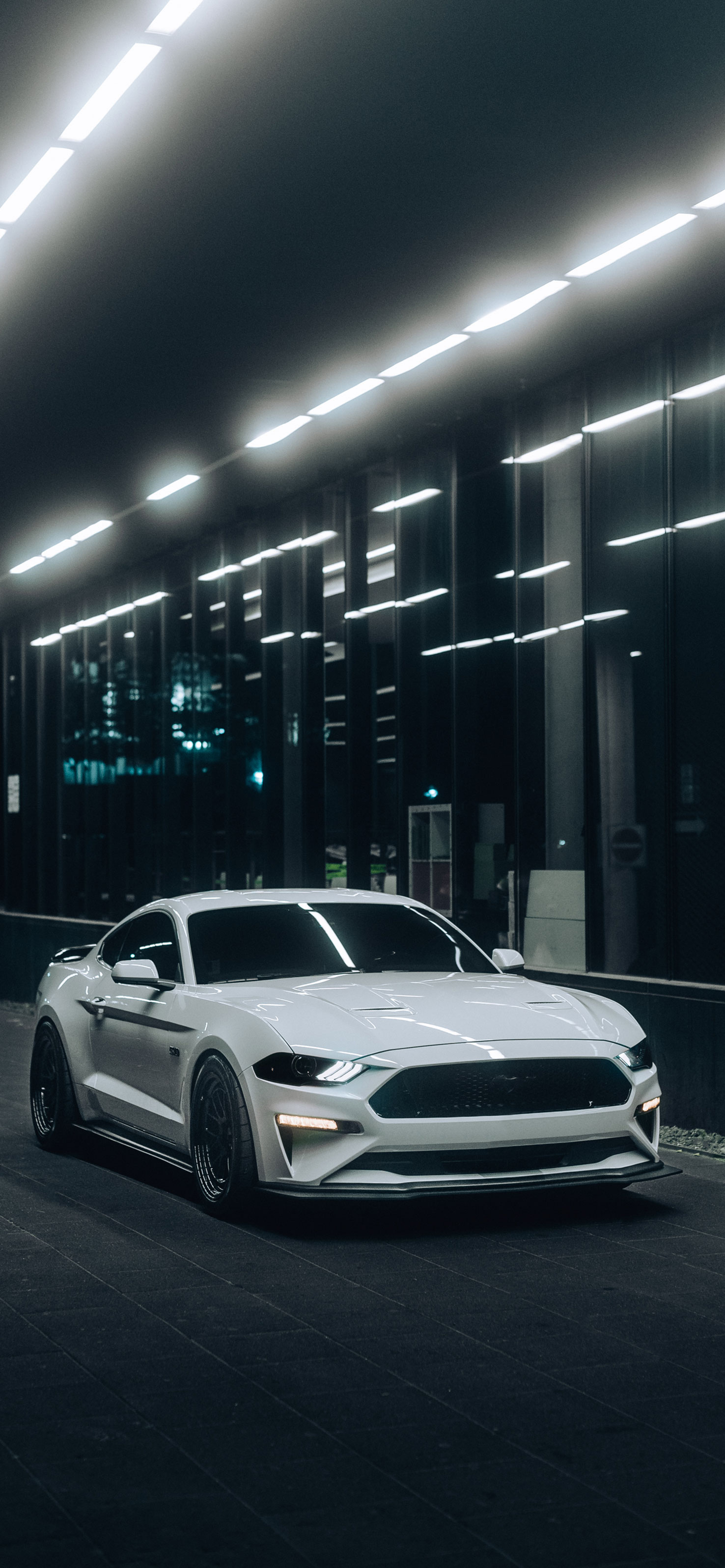 Mustang Wallpaper