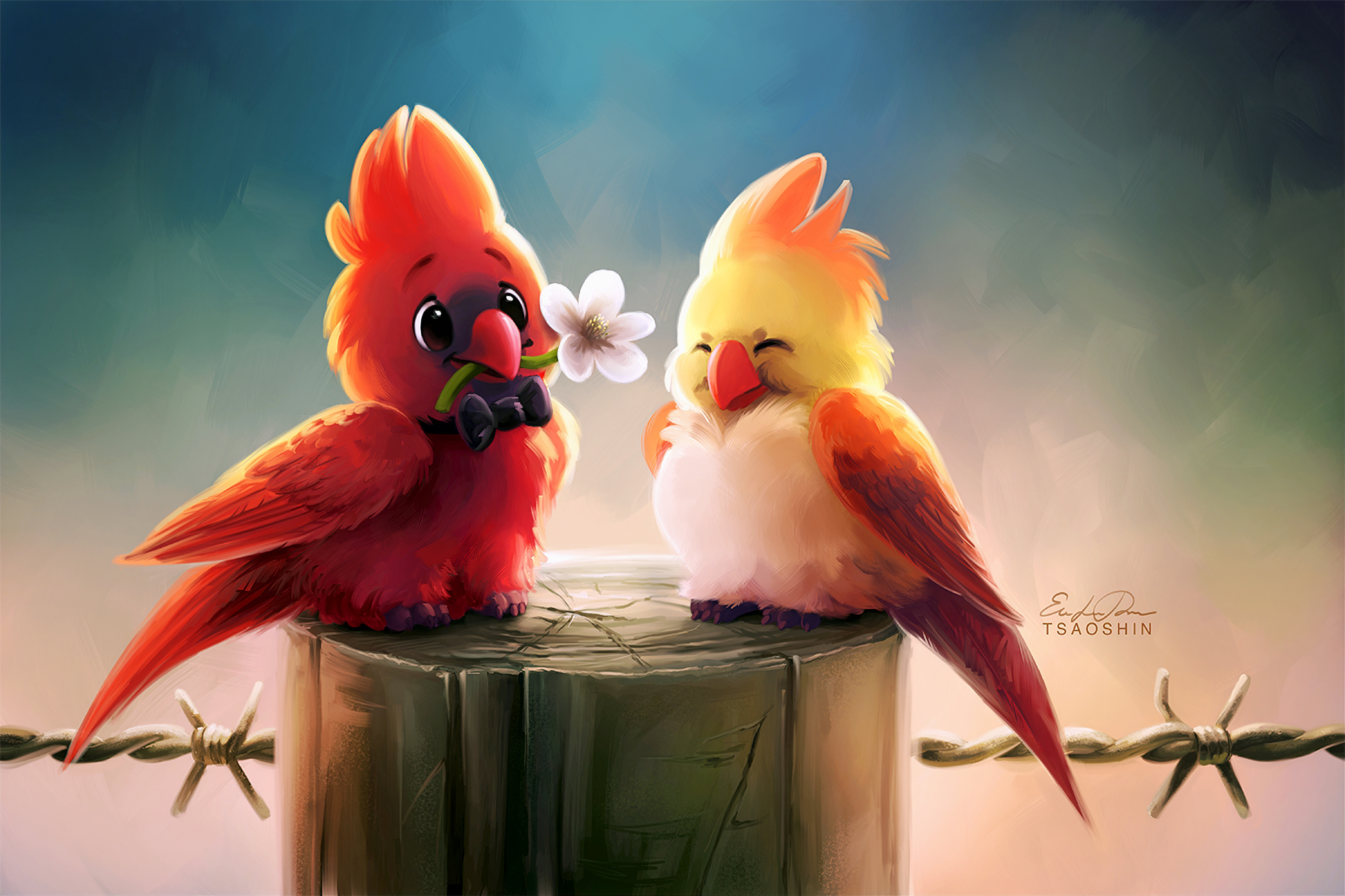Bird Wallpaper
