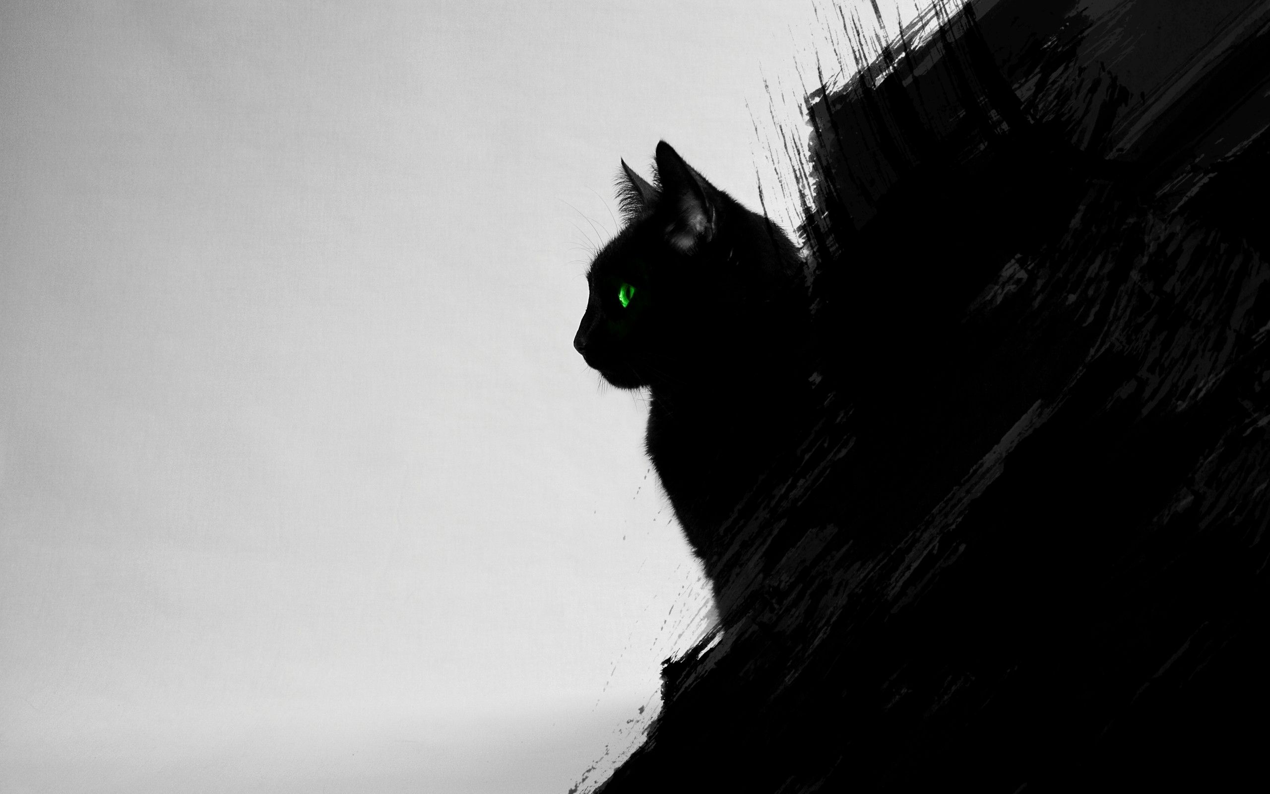 Black Cat Wallpaper