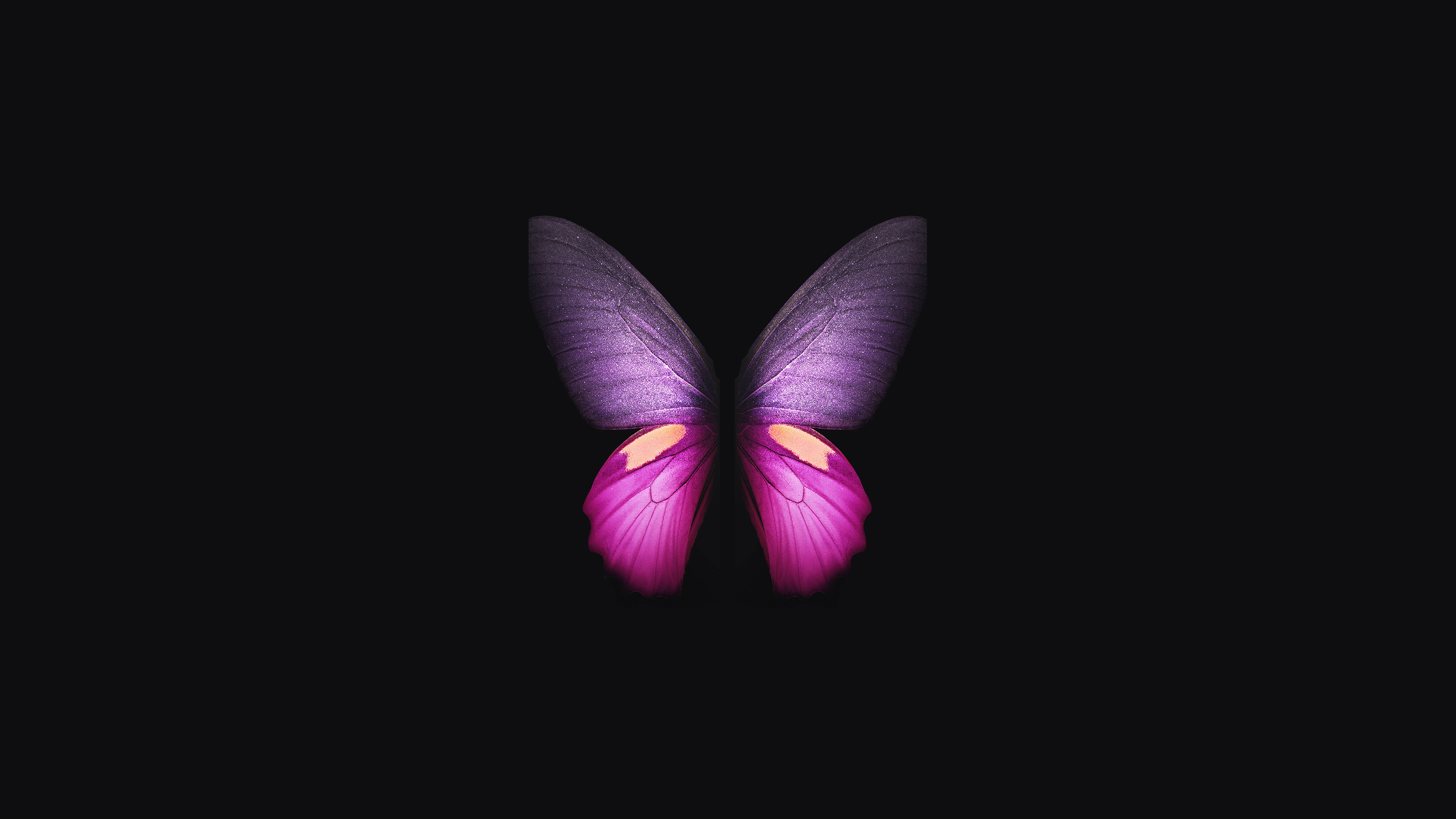 Butterfly Wallpaper