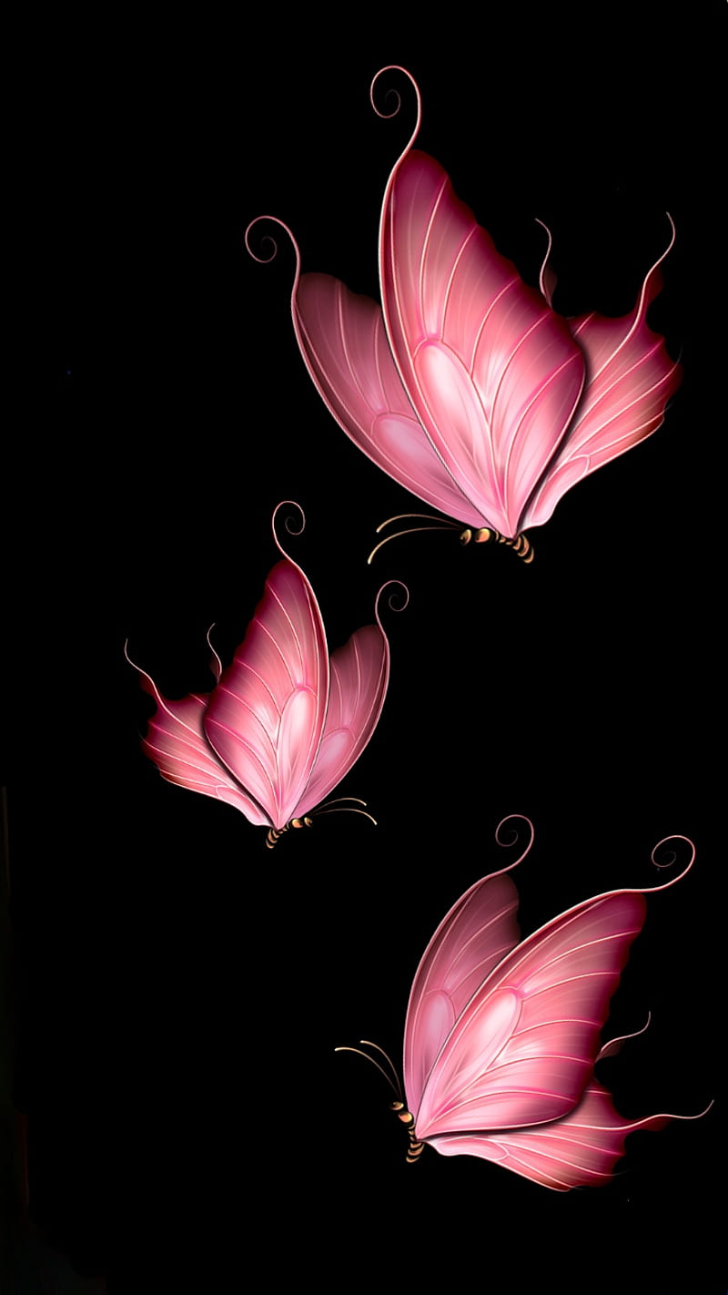 Butterfly Wallpaper