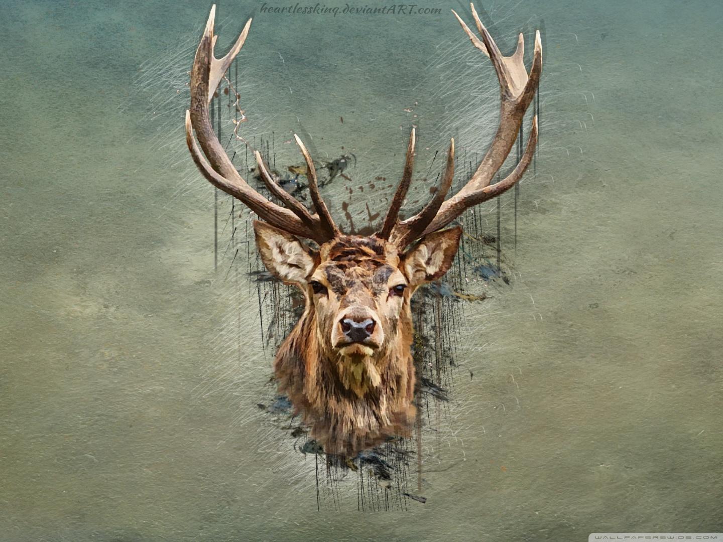 Deer Wallpaper