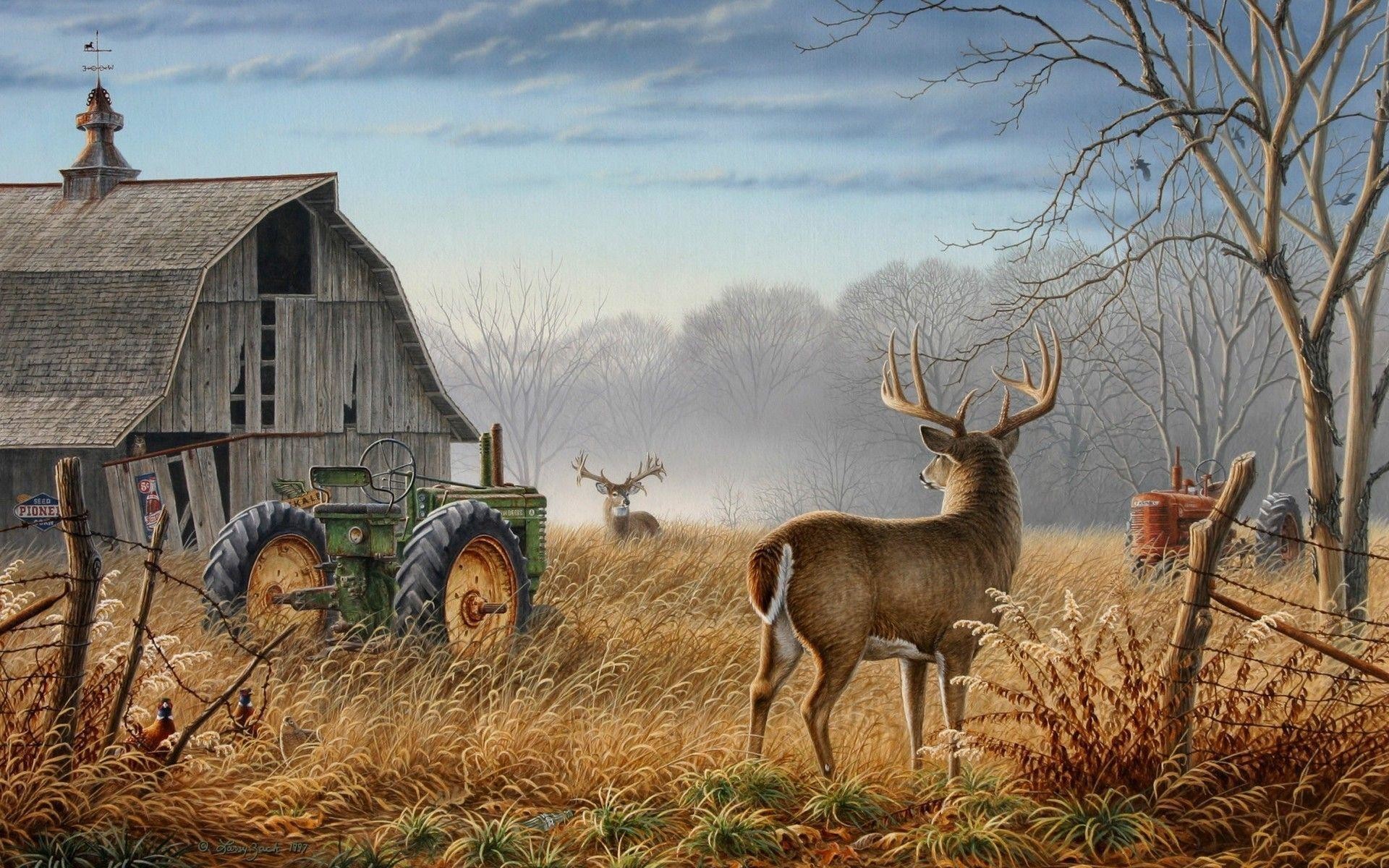 Deer Wallpaper