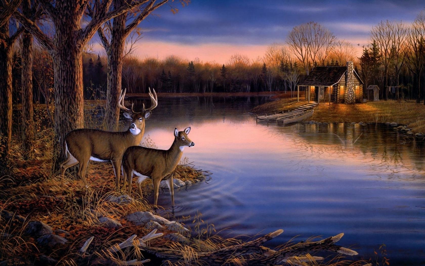 Deer Wallpaper