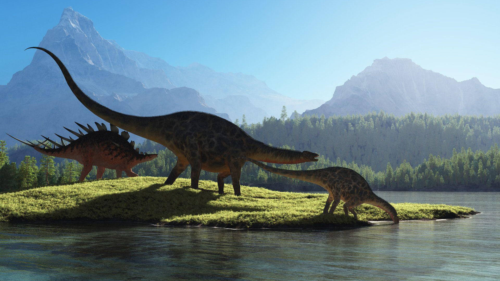 Dinosaur Wallpaper