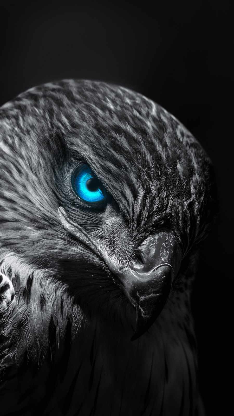 Eagle Wallpaper