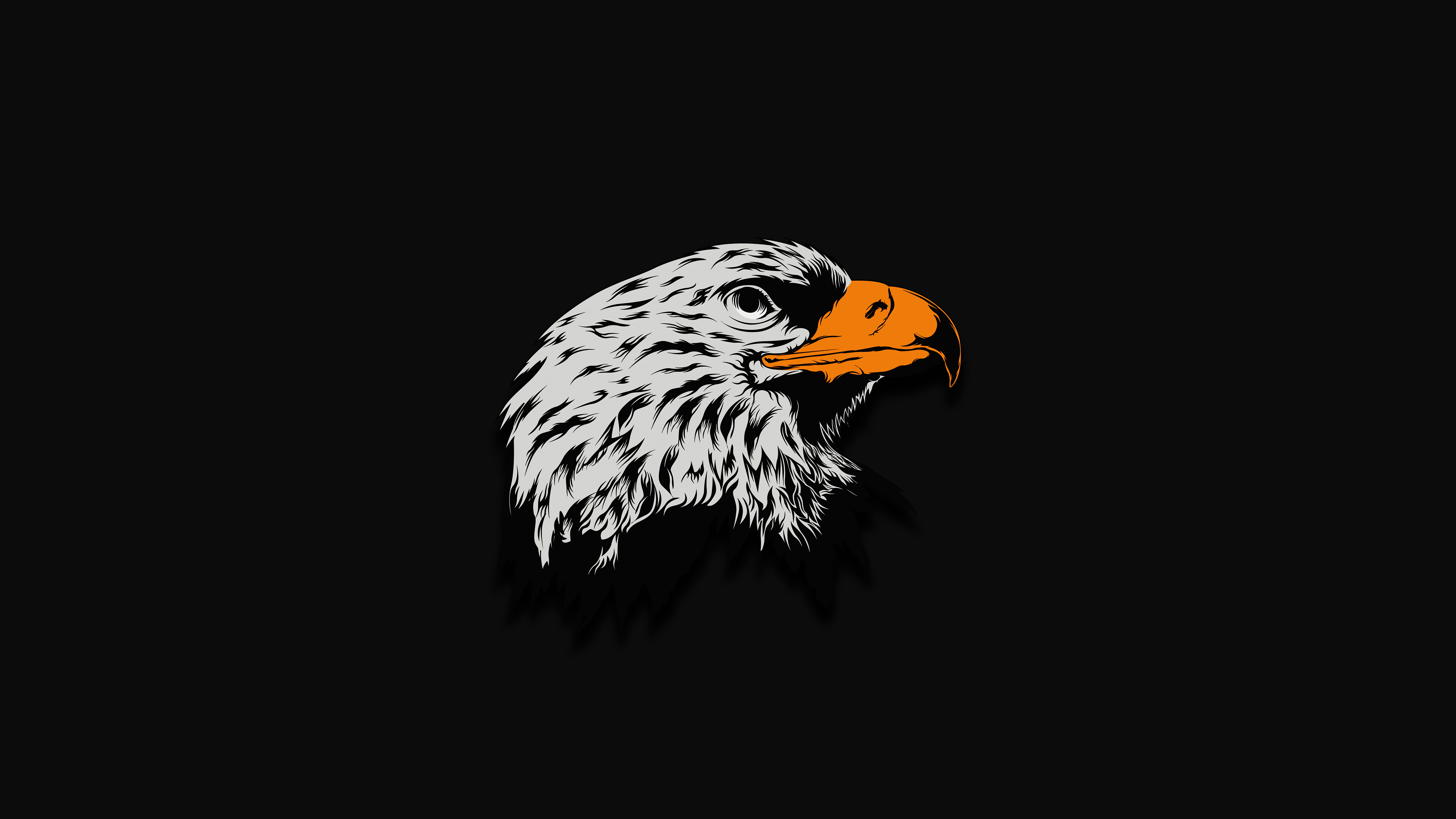 Eagle Wallpaper