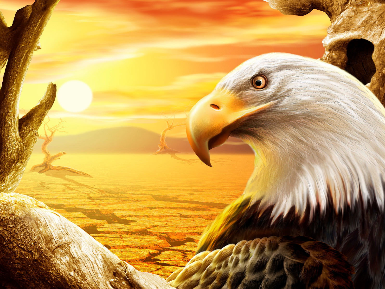 Eagle Wallpaper