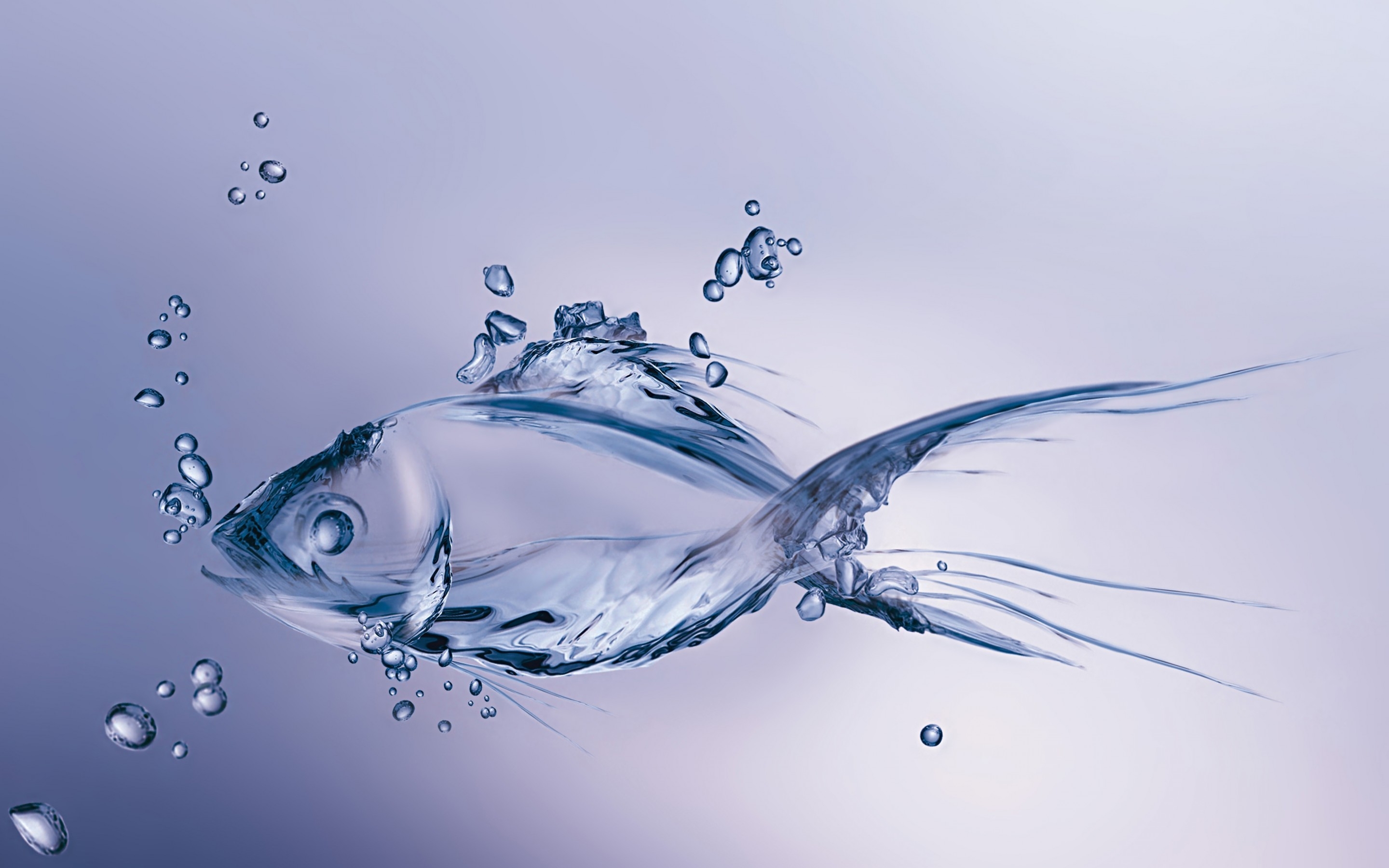Fishing Wallpaper