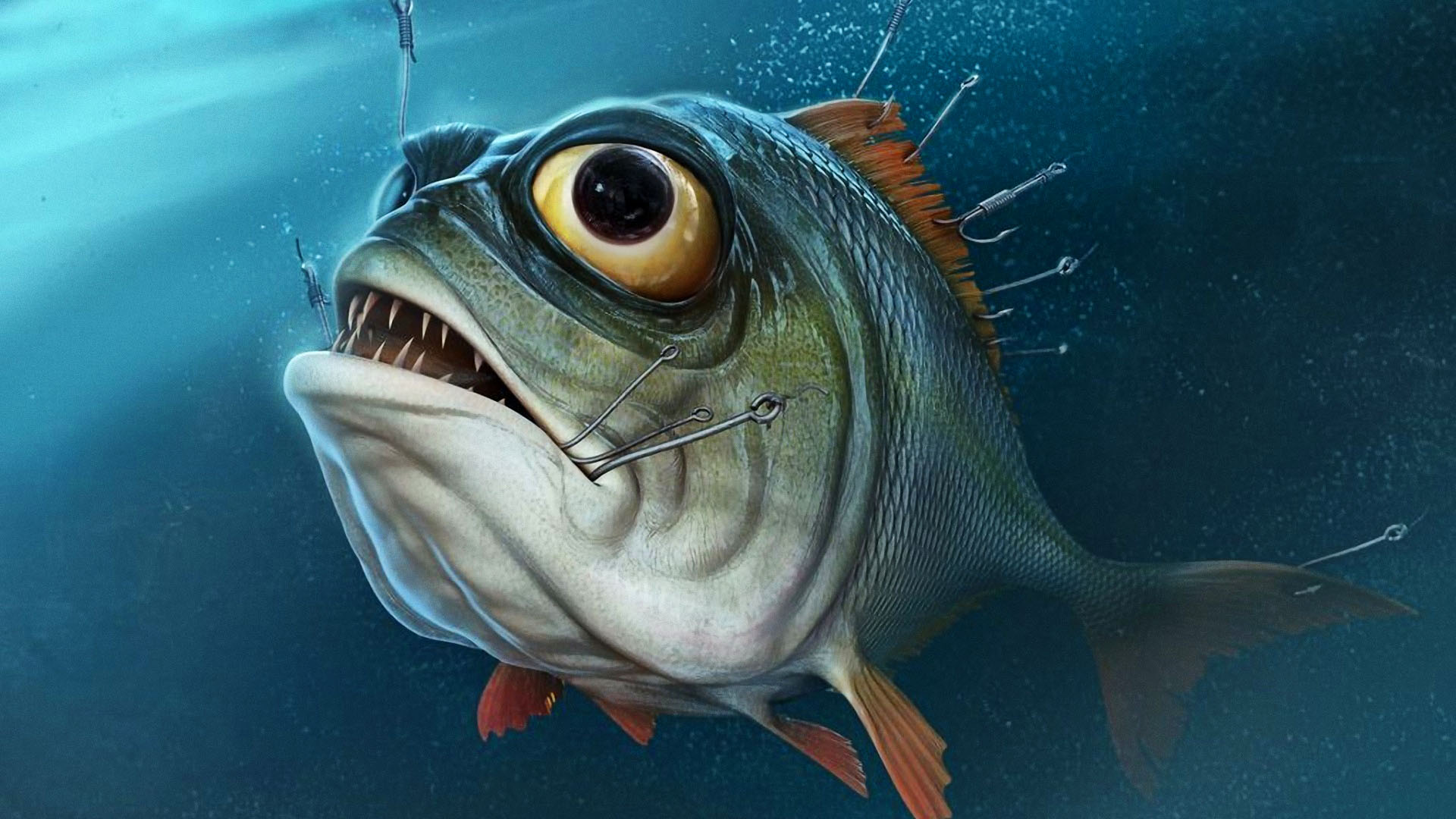 Fishing Wallpaper
