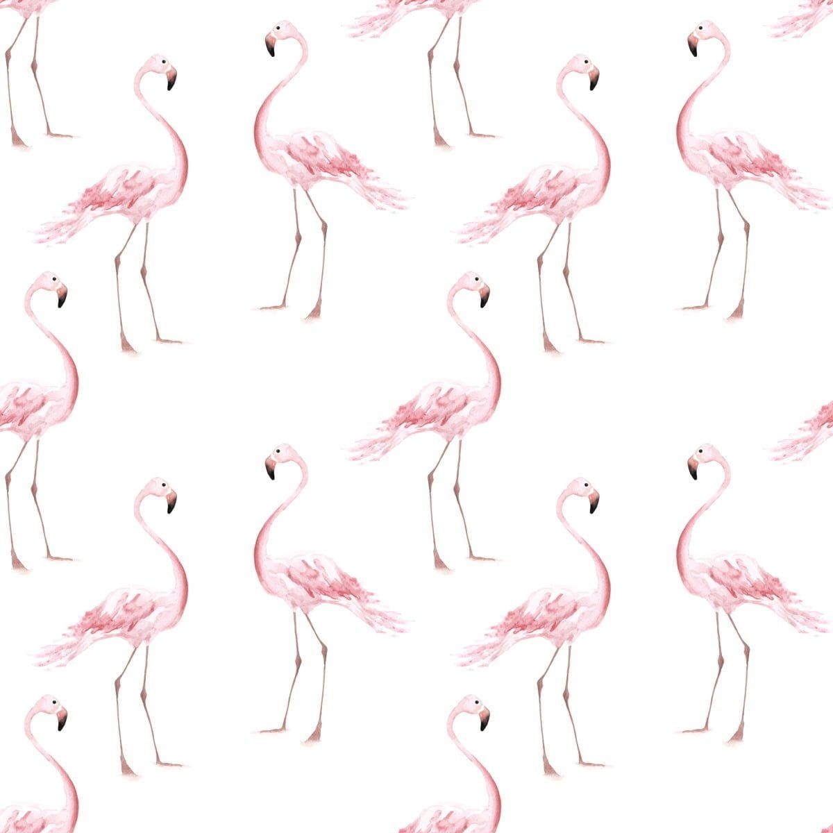 Flamingo Wallpaper