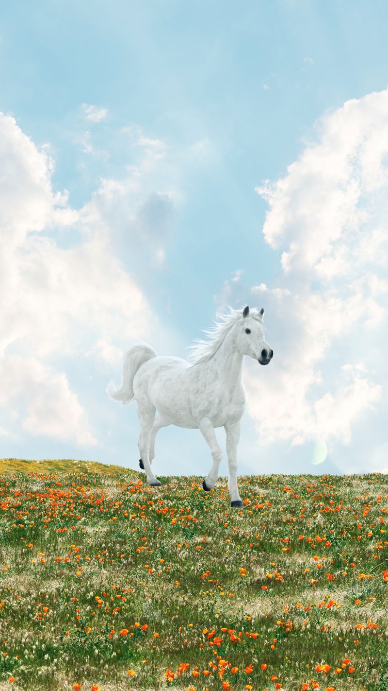 Horse Wallpaper