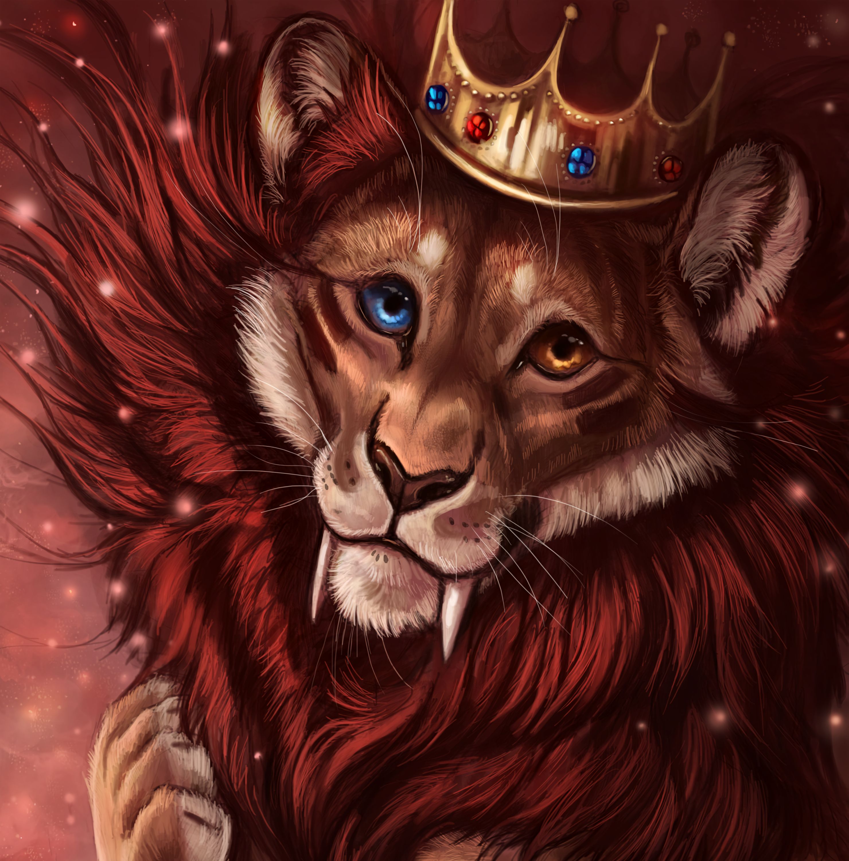 Lion Wallpaper