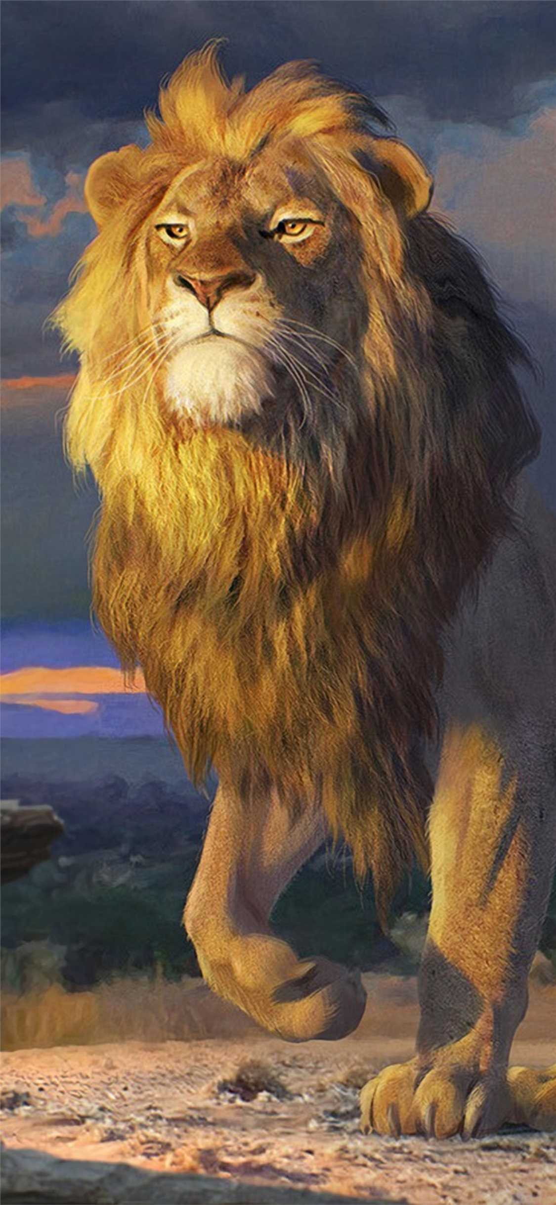 Lion Wallpaper