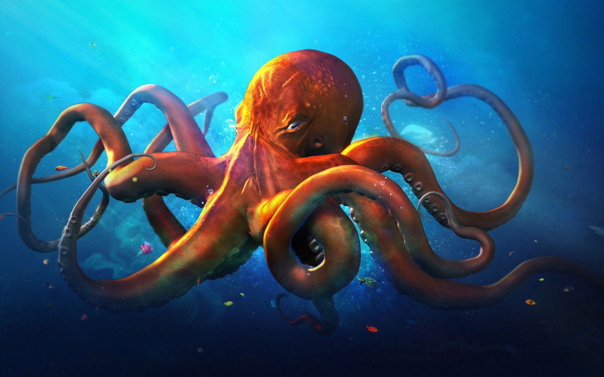 Octopus Wallpaper