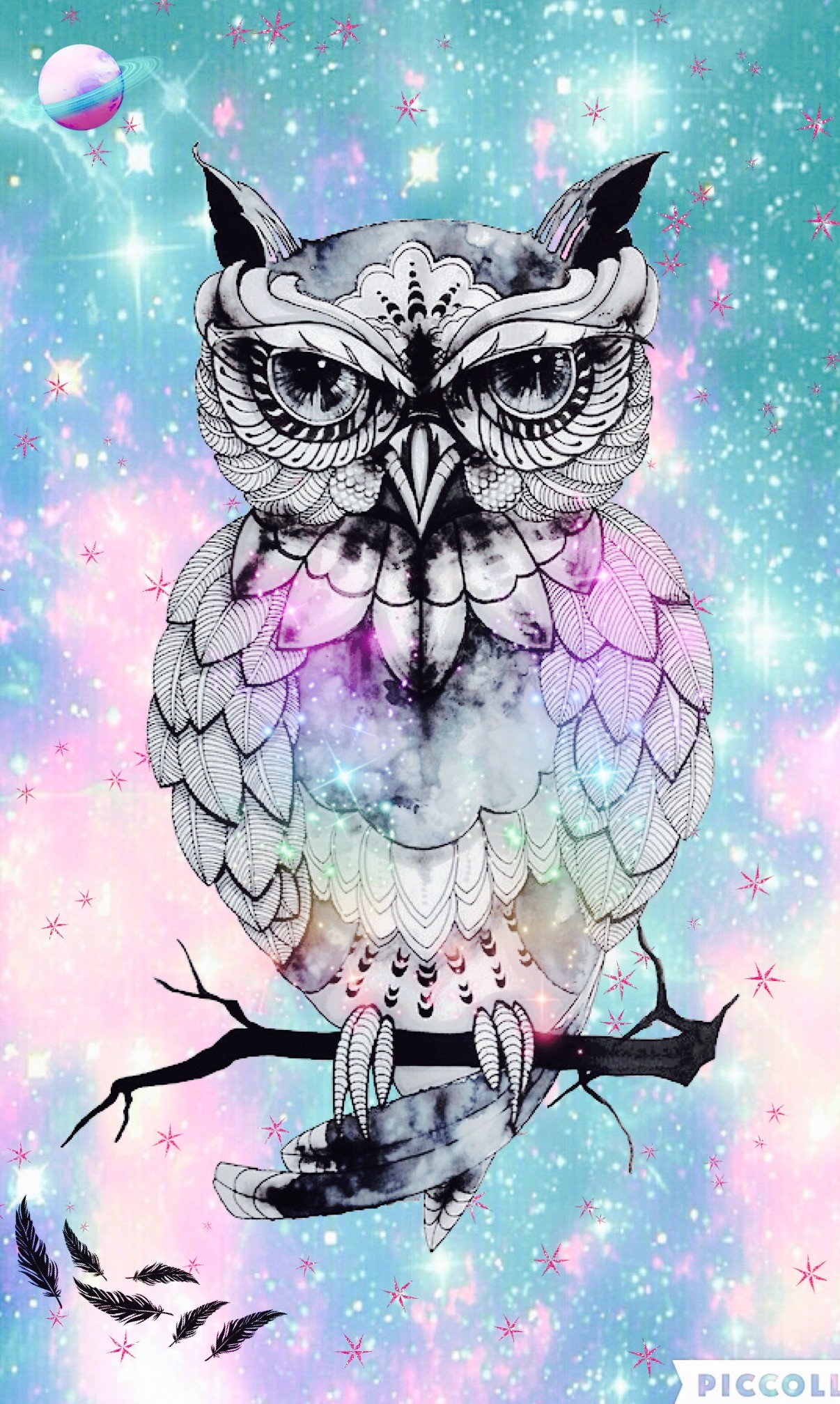 Owl Wallpaper