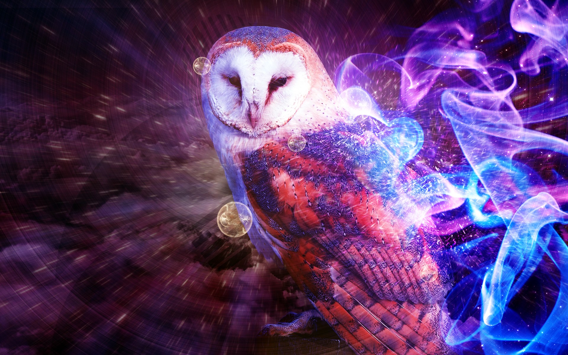 Owl Wallpaper