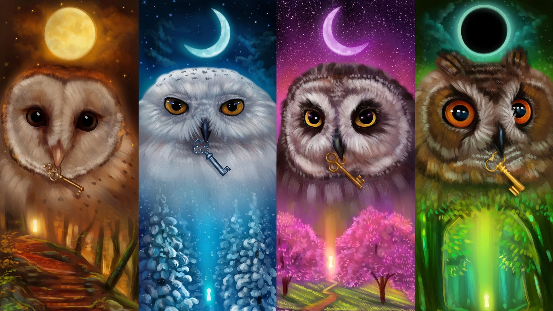 Owl Wallpaper
