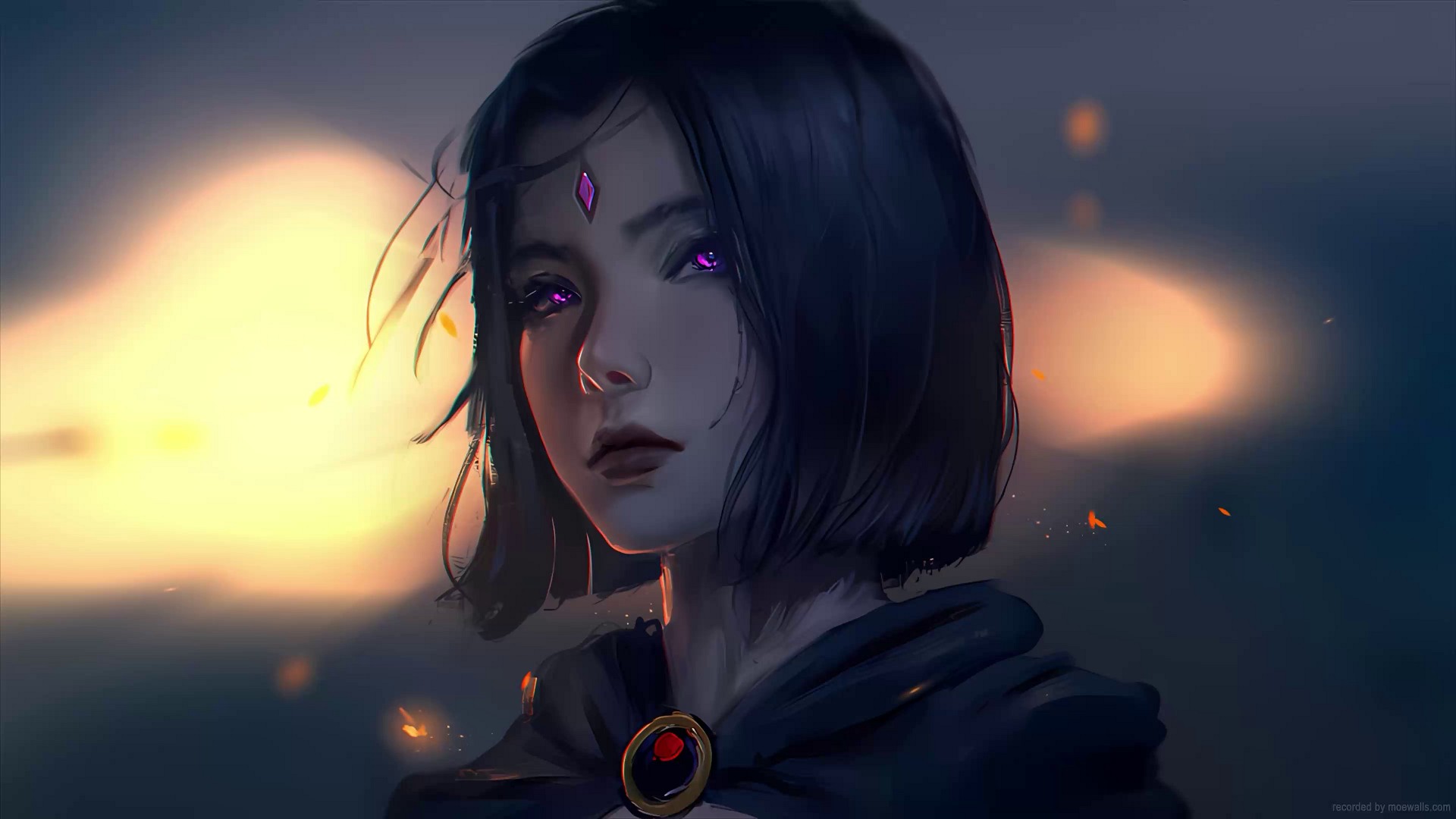 Raven Wallpaper