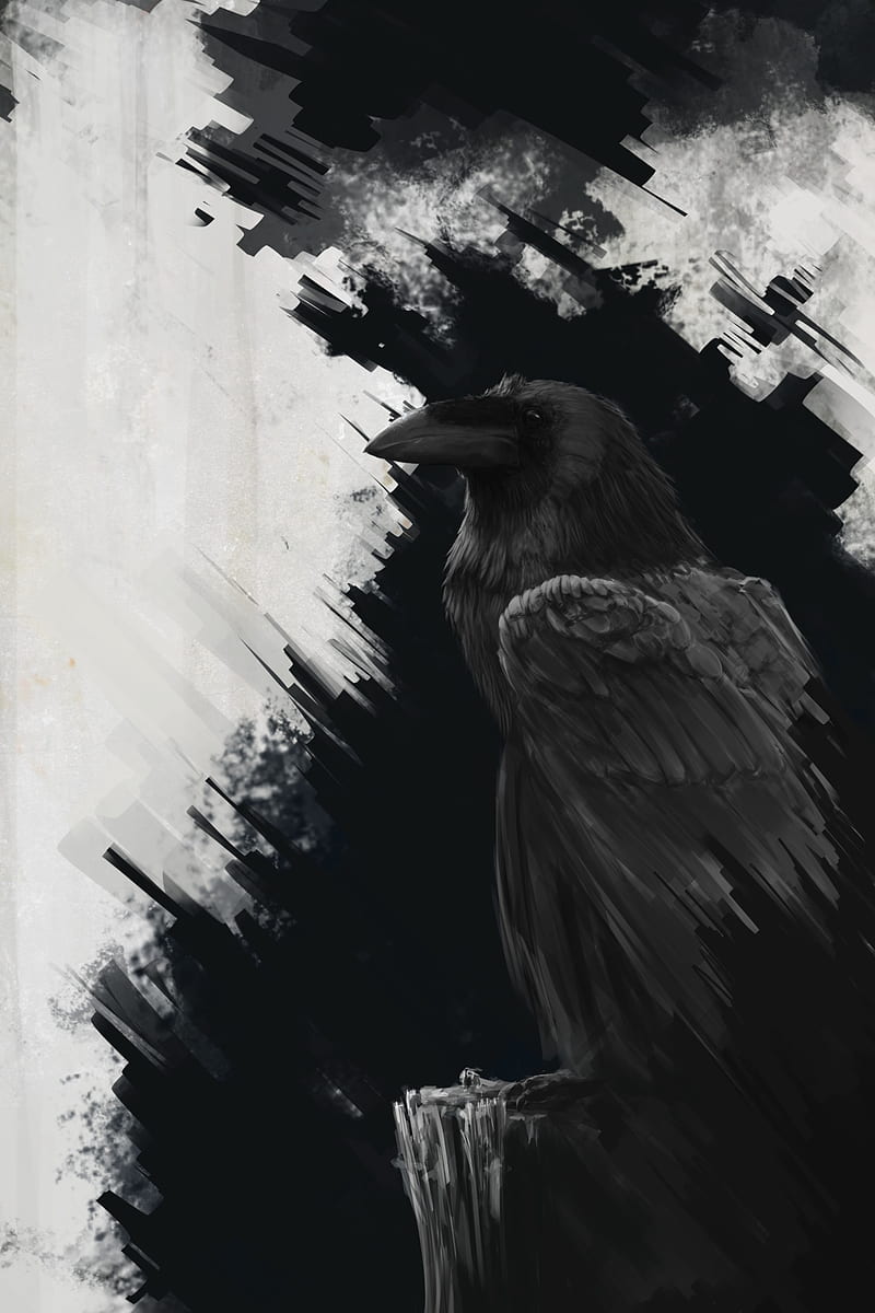 Raven Wallpaper