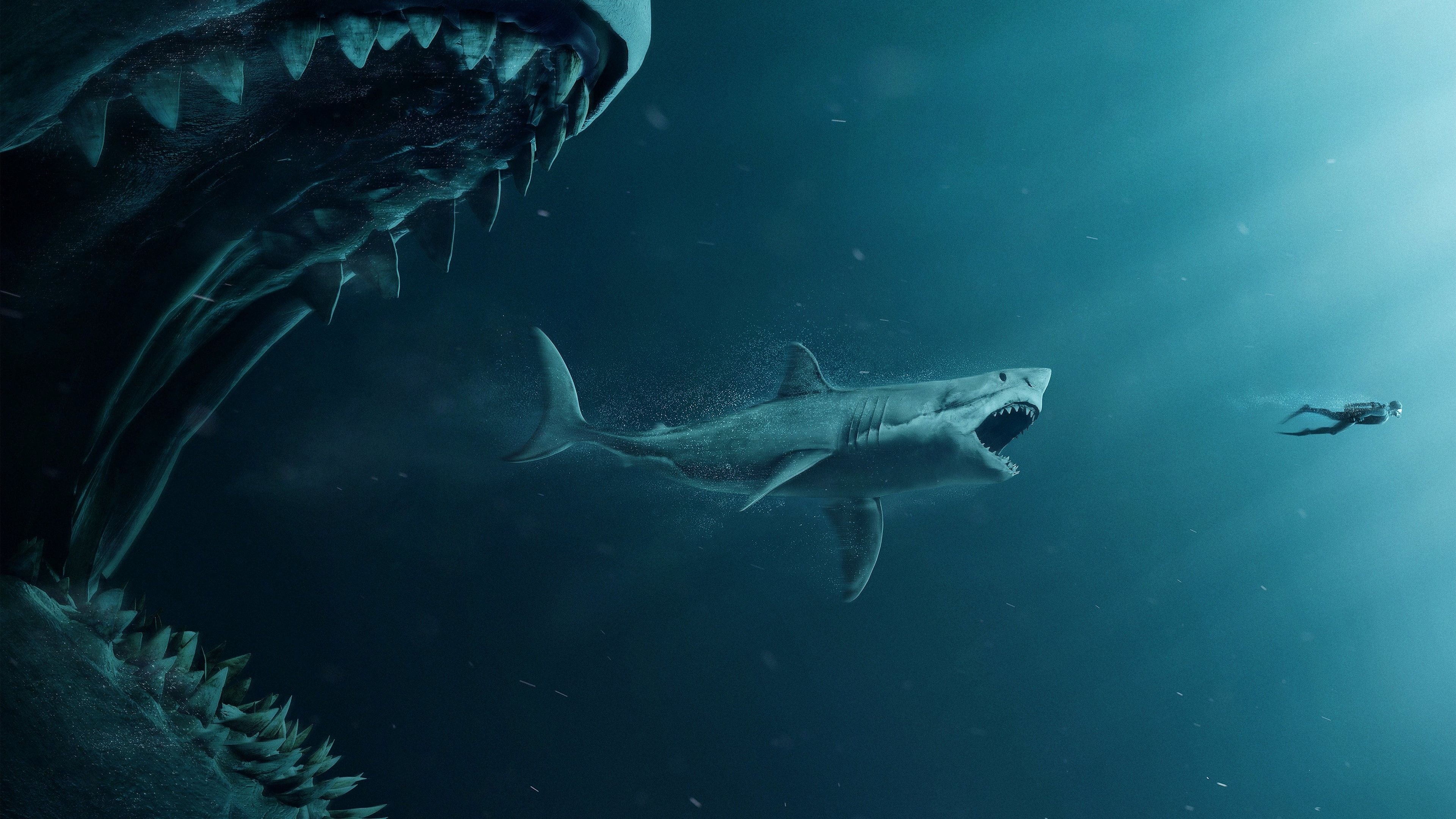 Shark Wallpaper