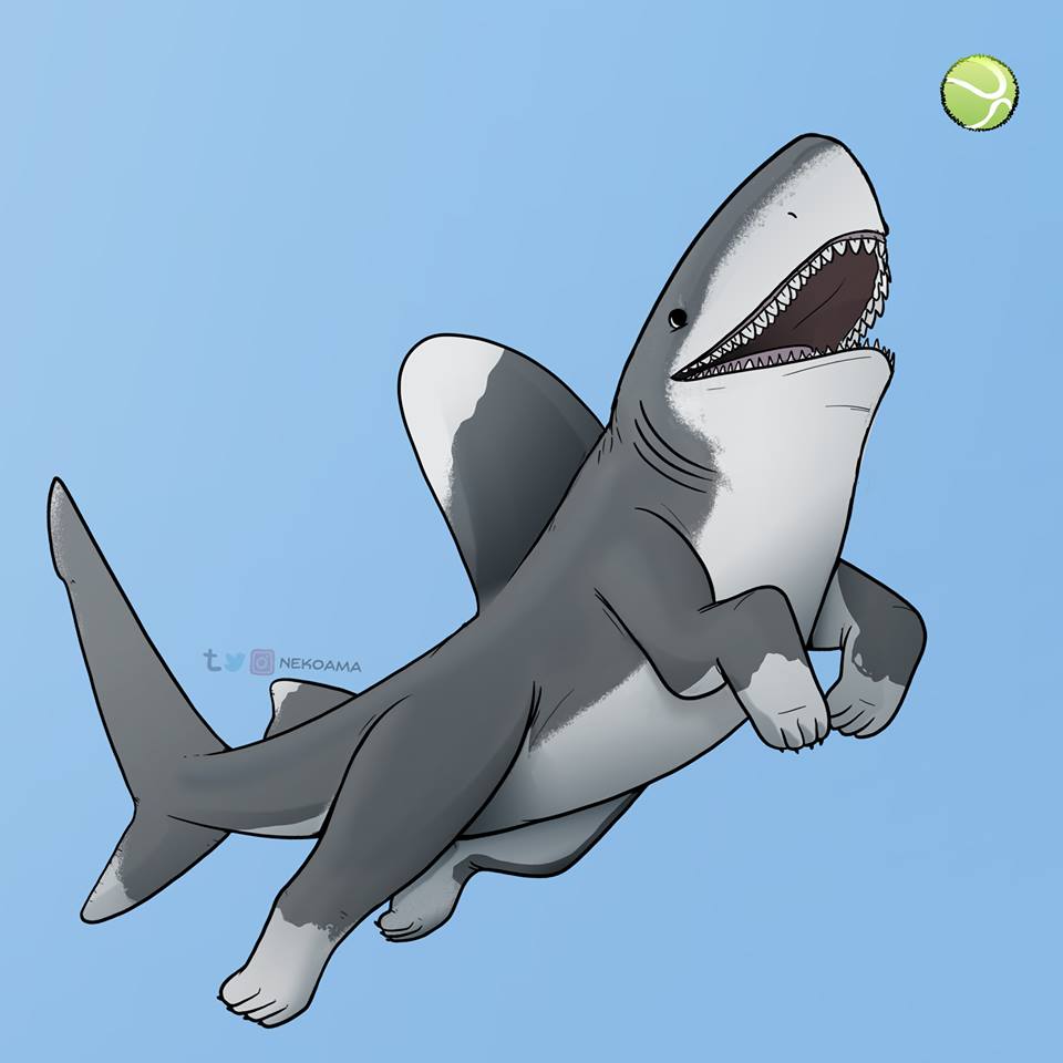 Shark Wallpaper