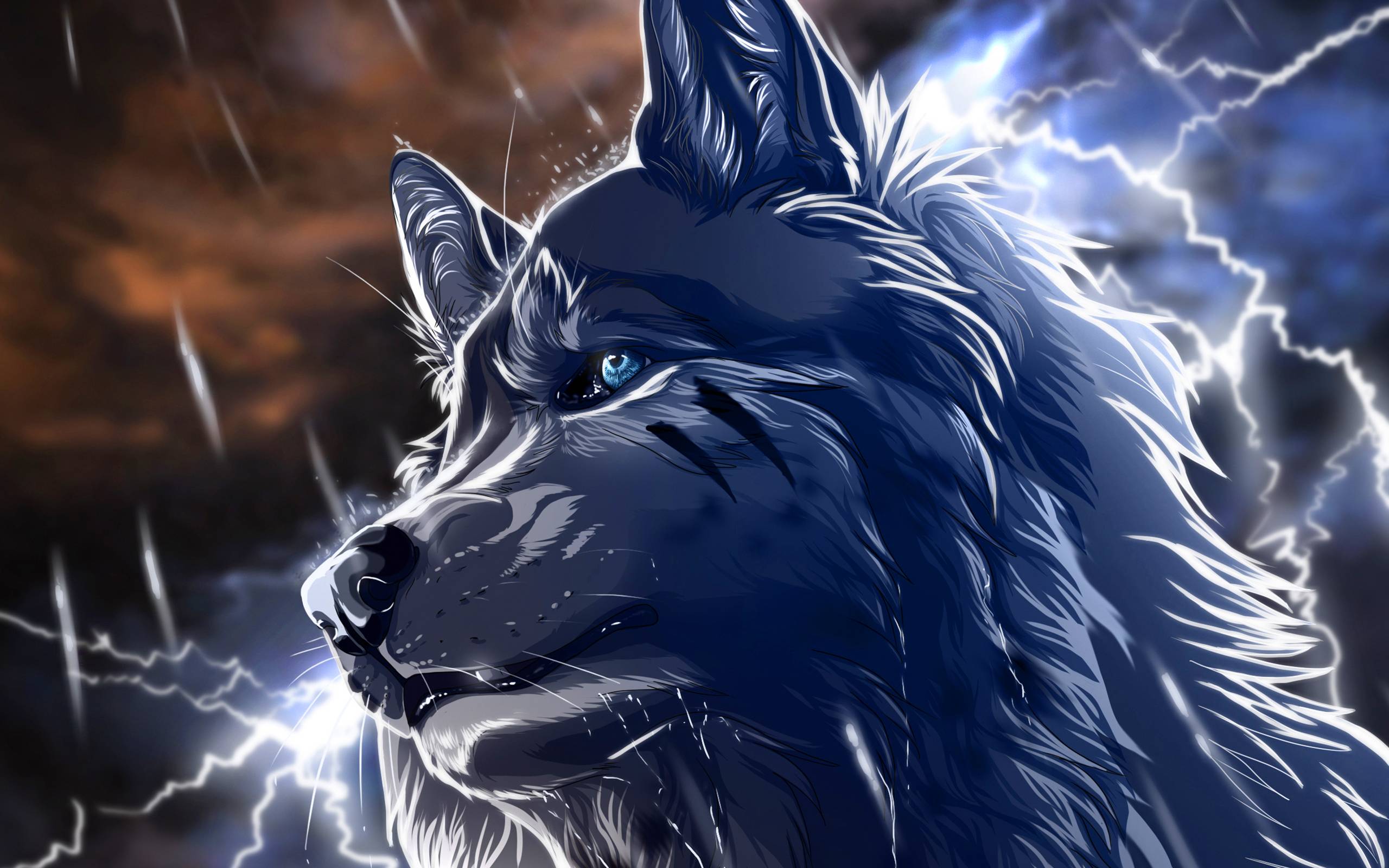 Wolf Wallpaper