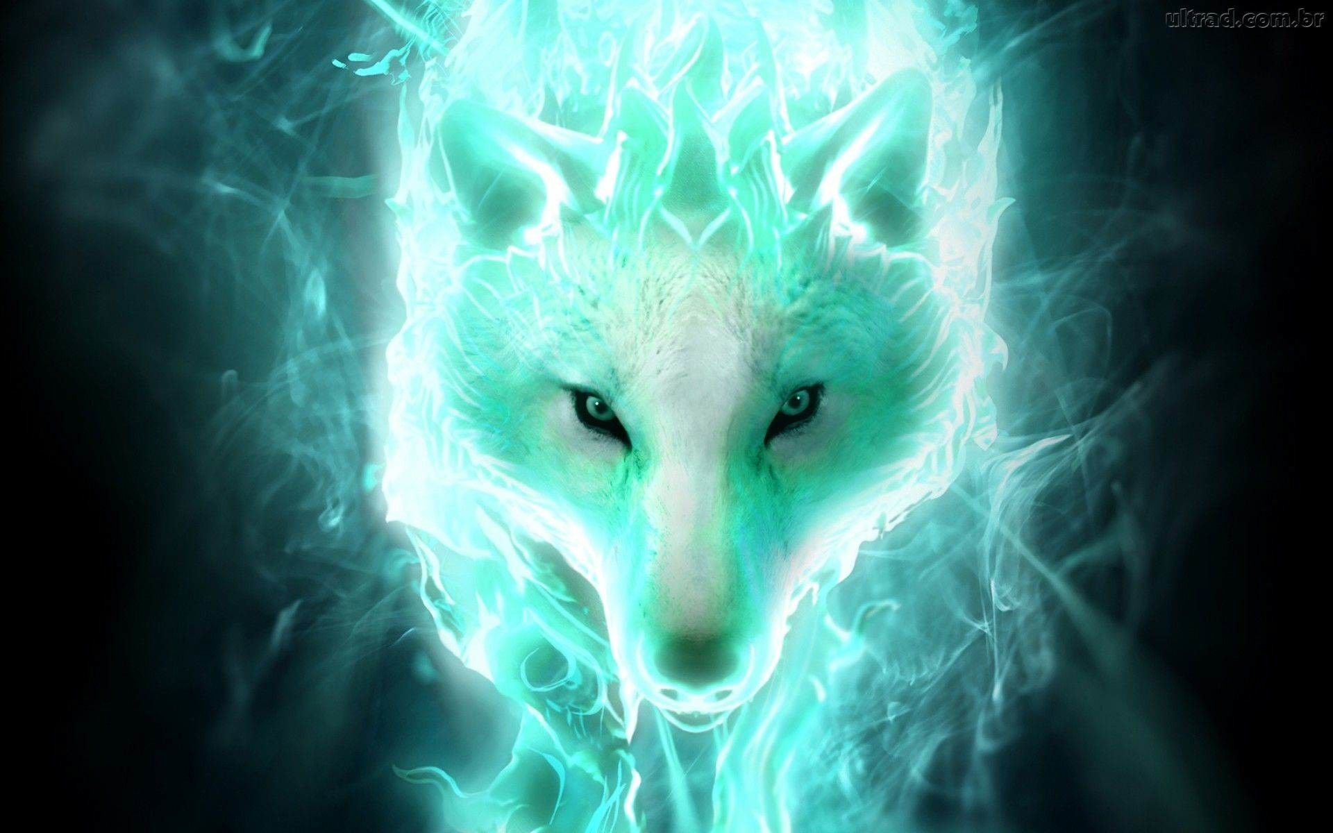 Wolf Wallpaper