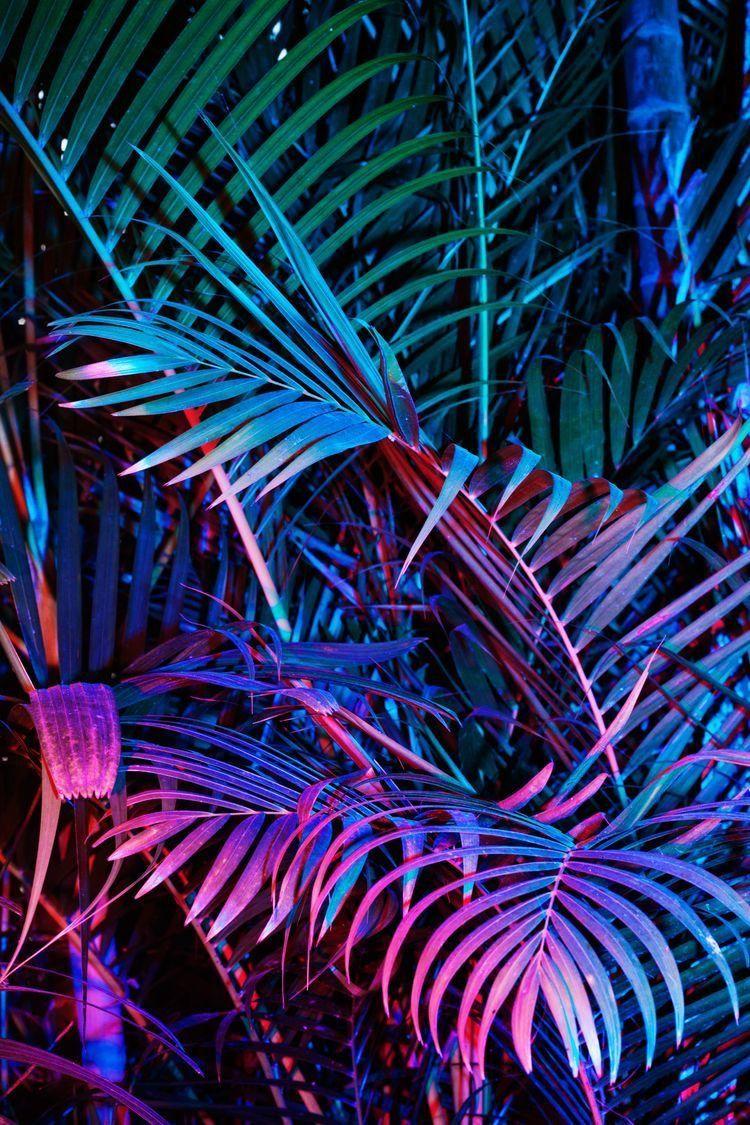 Holographic Wallpaper