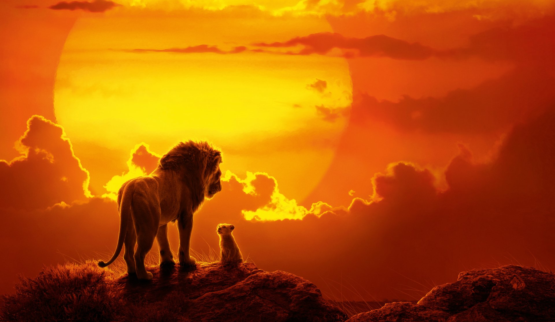 Lion King Wallpaper