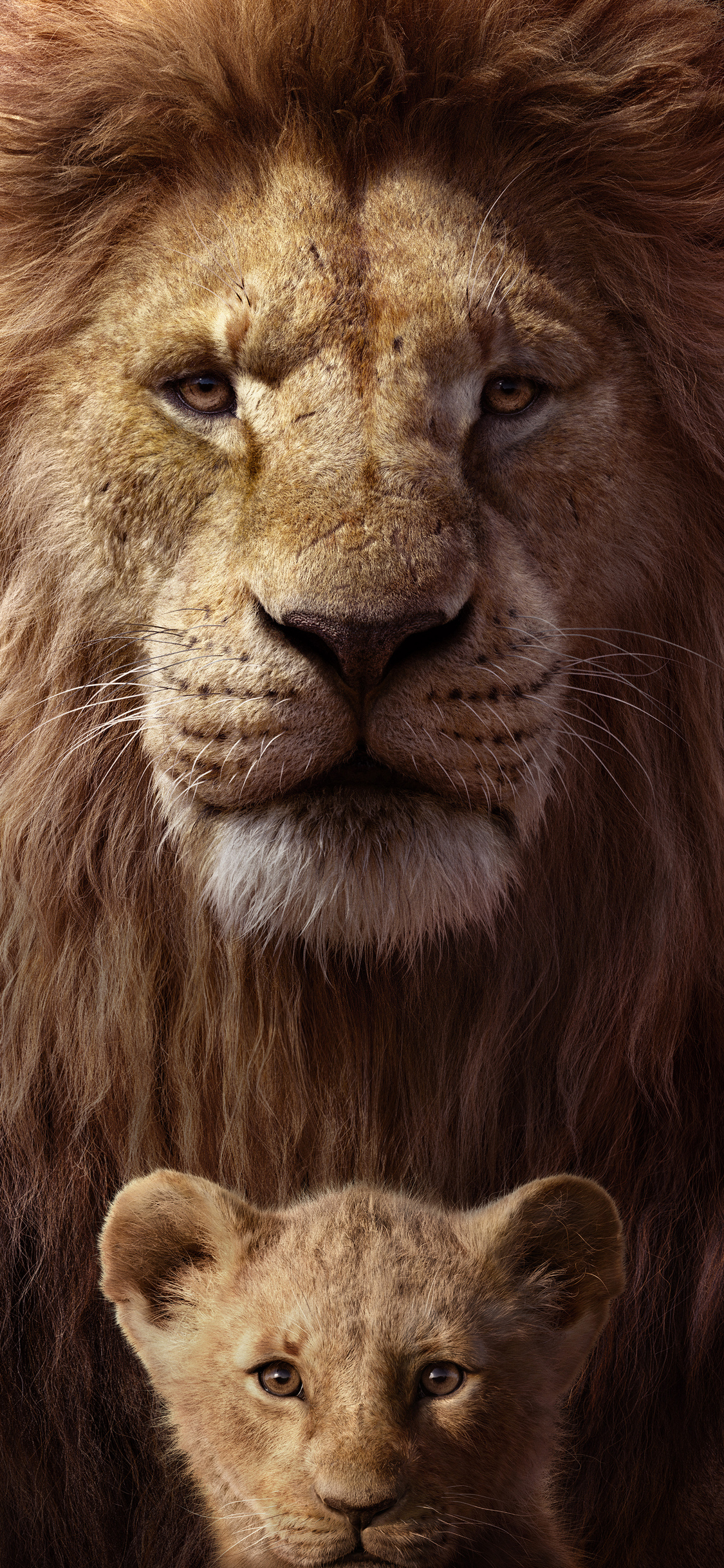 Lion King Wallpaper