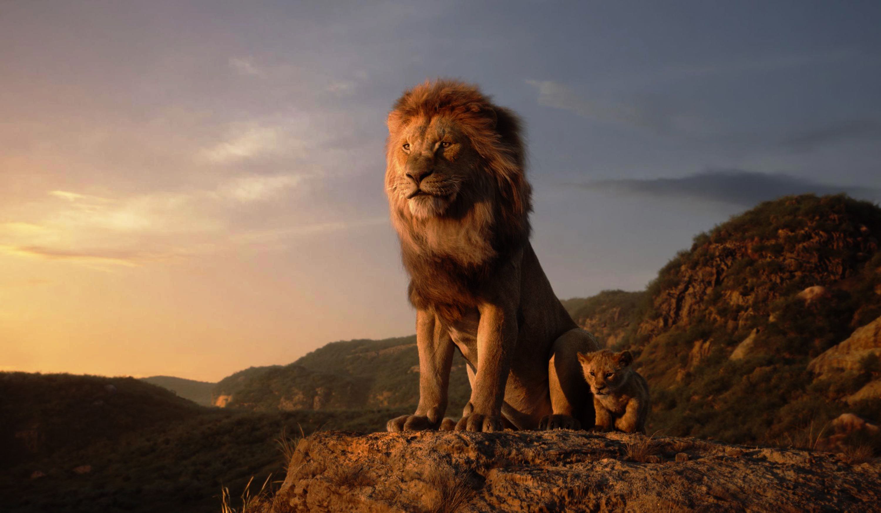 Lion King Wallpaper