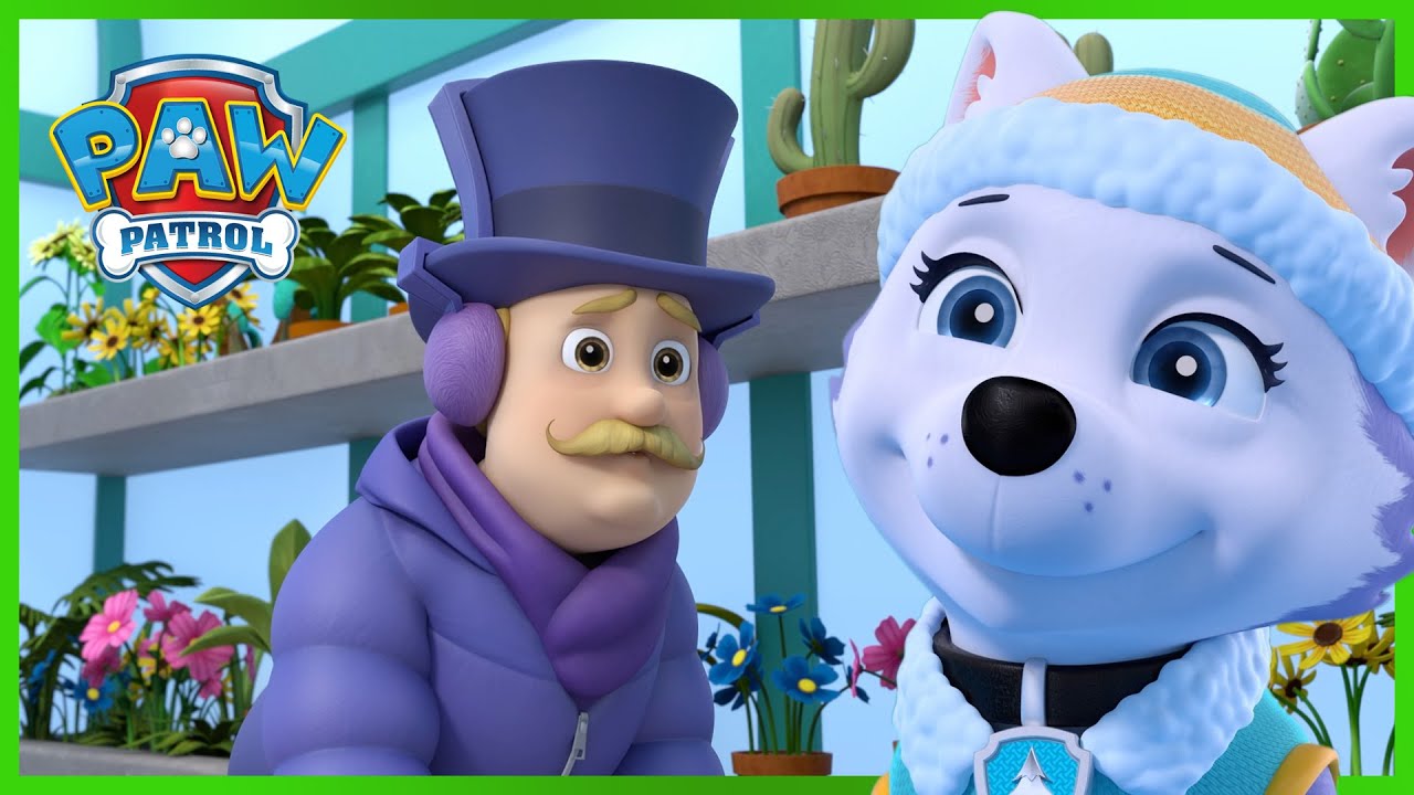 Paw Patrol Wallpaper