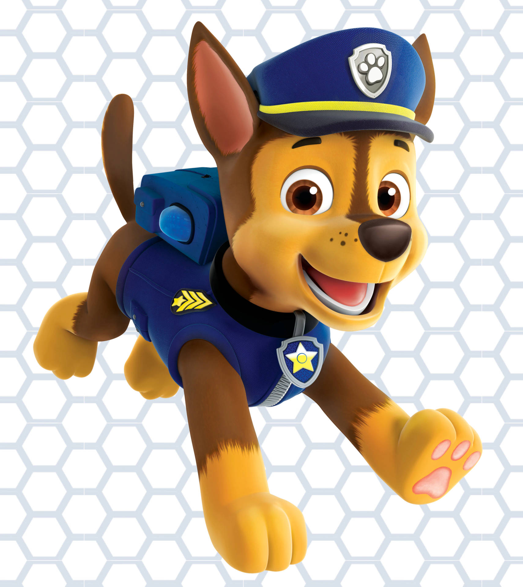 Paw Patrol Wallpaper