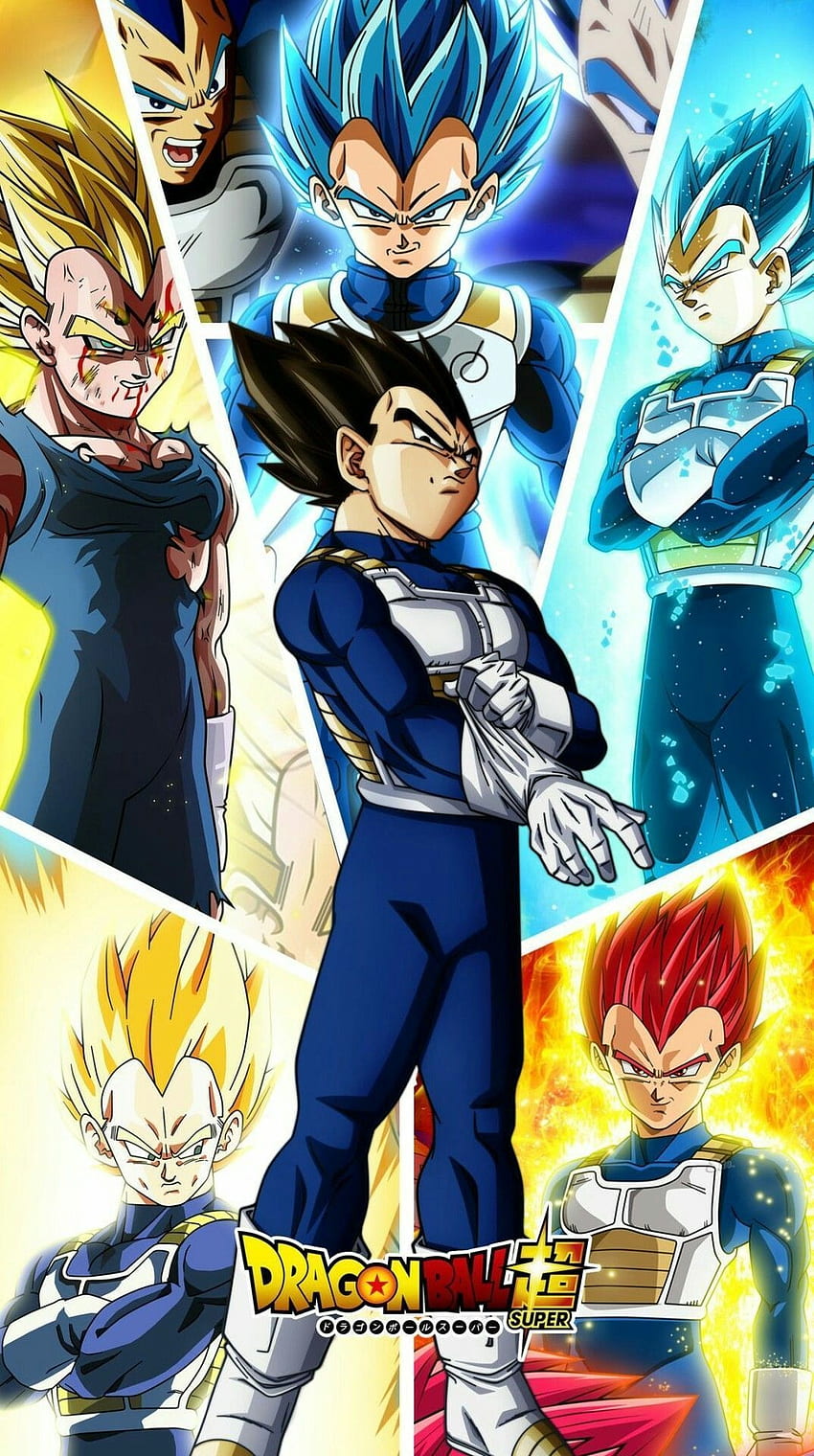 Vegeta Wallpaper