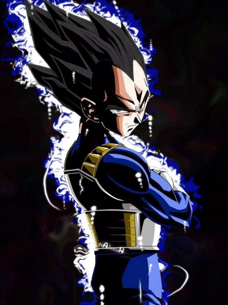 Vegeta Wallpaper