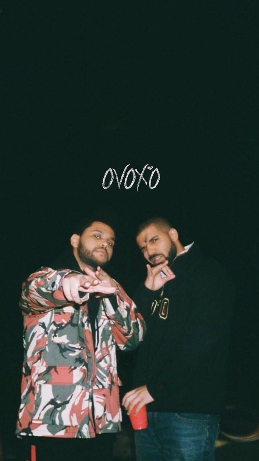 Drake Wallpaper
