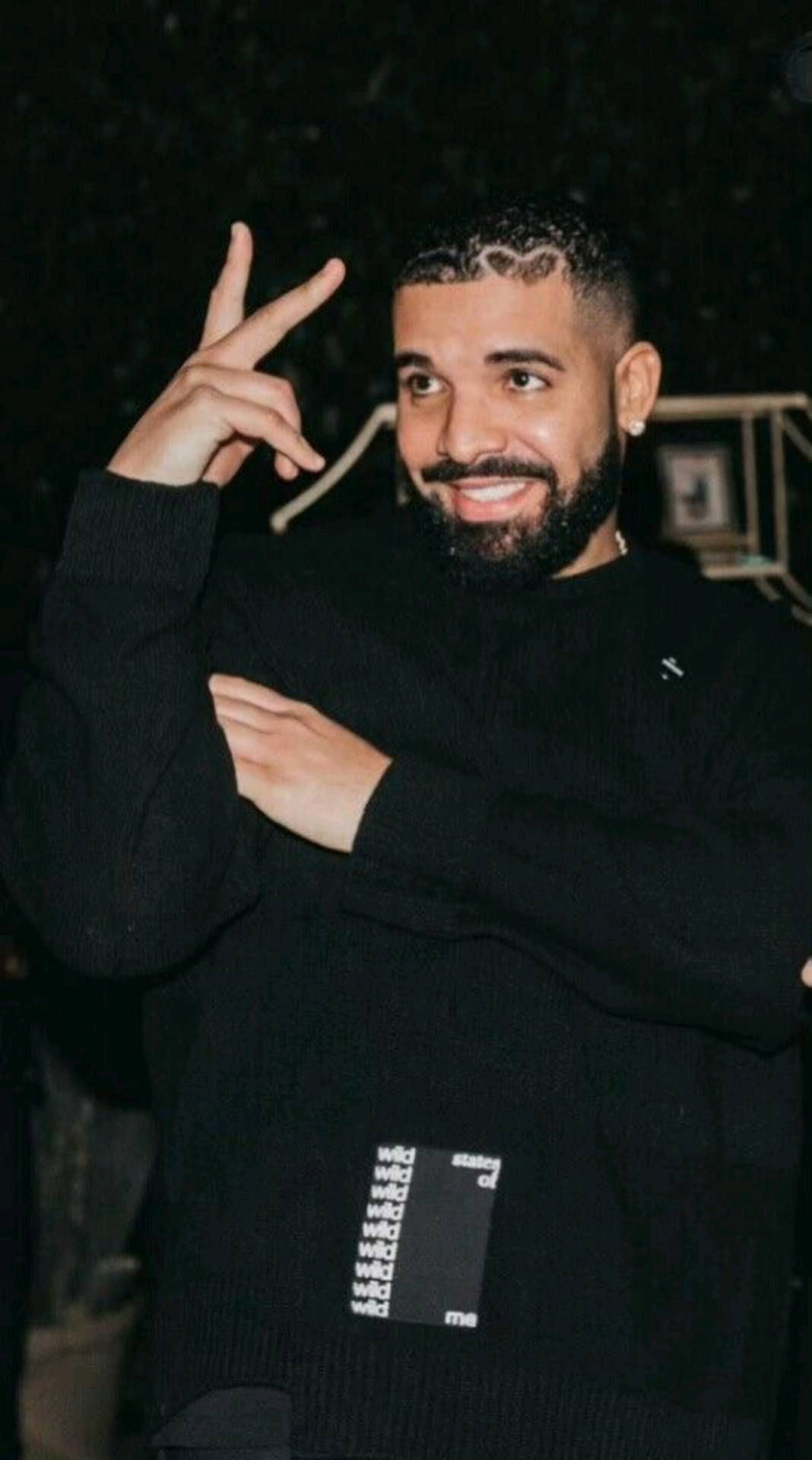 Drake Wallpaper