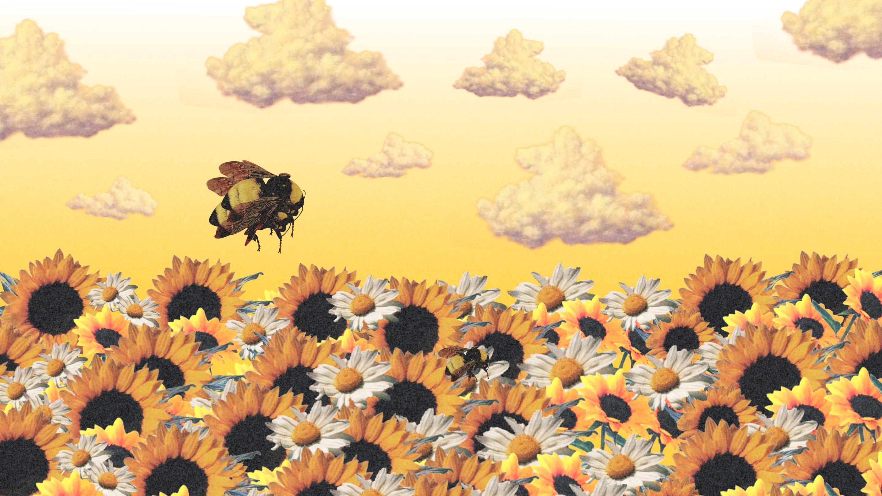 Tyler The Creator Wallpaper