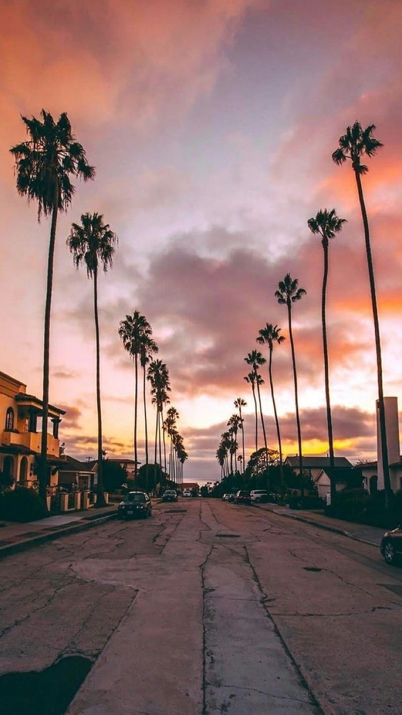 Los Angeles Wallpaper