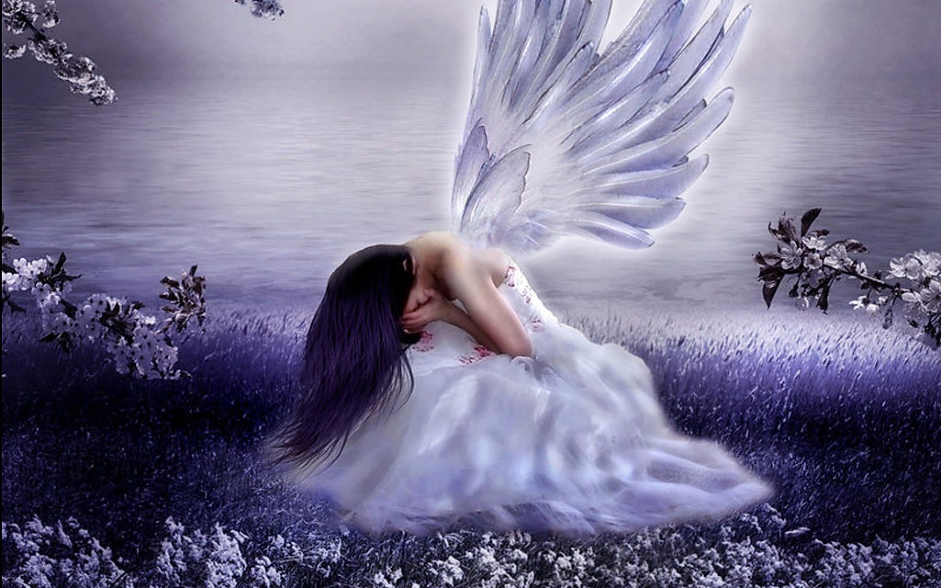 Angel Wallpaper