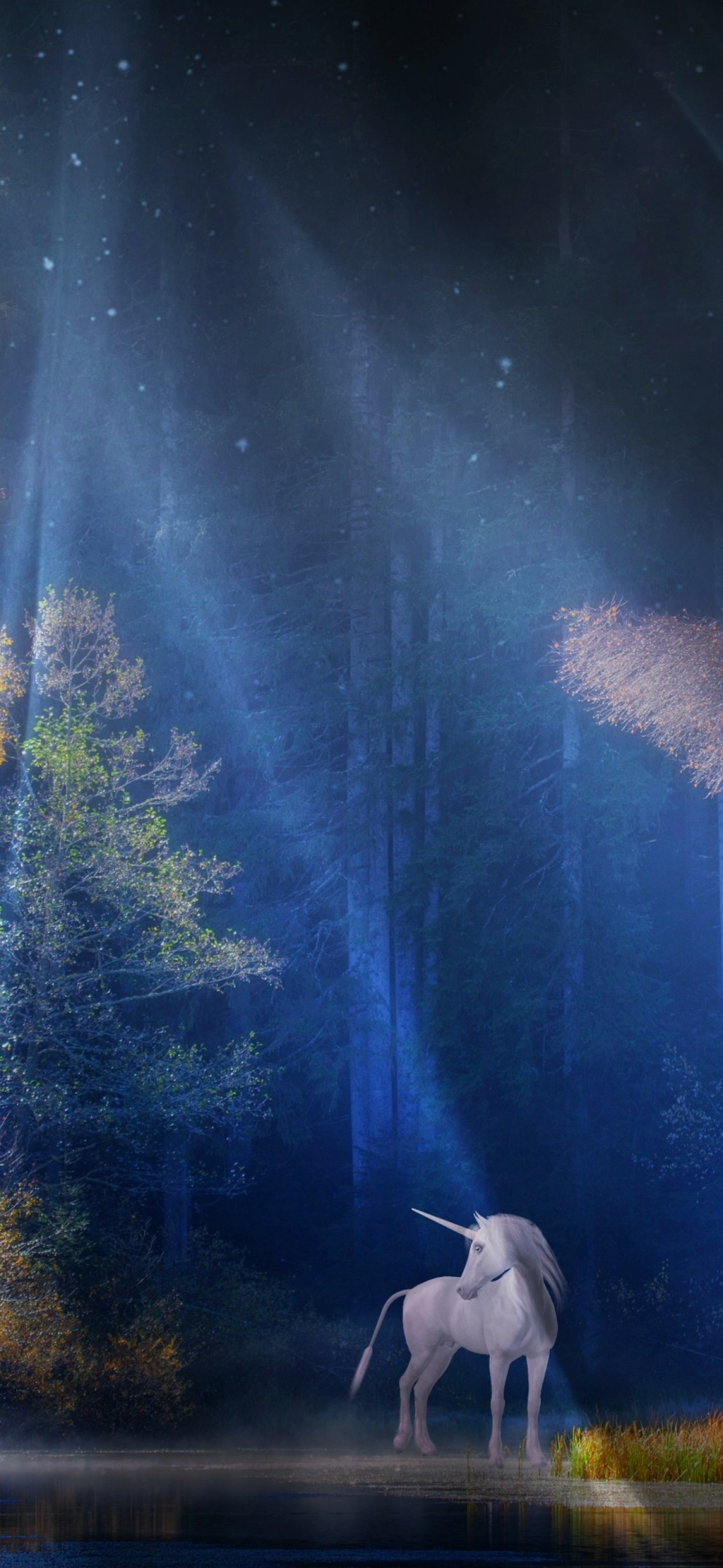 Fairy Wallpaper