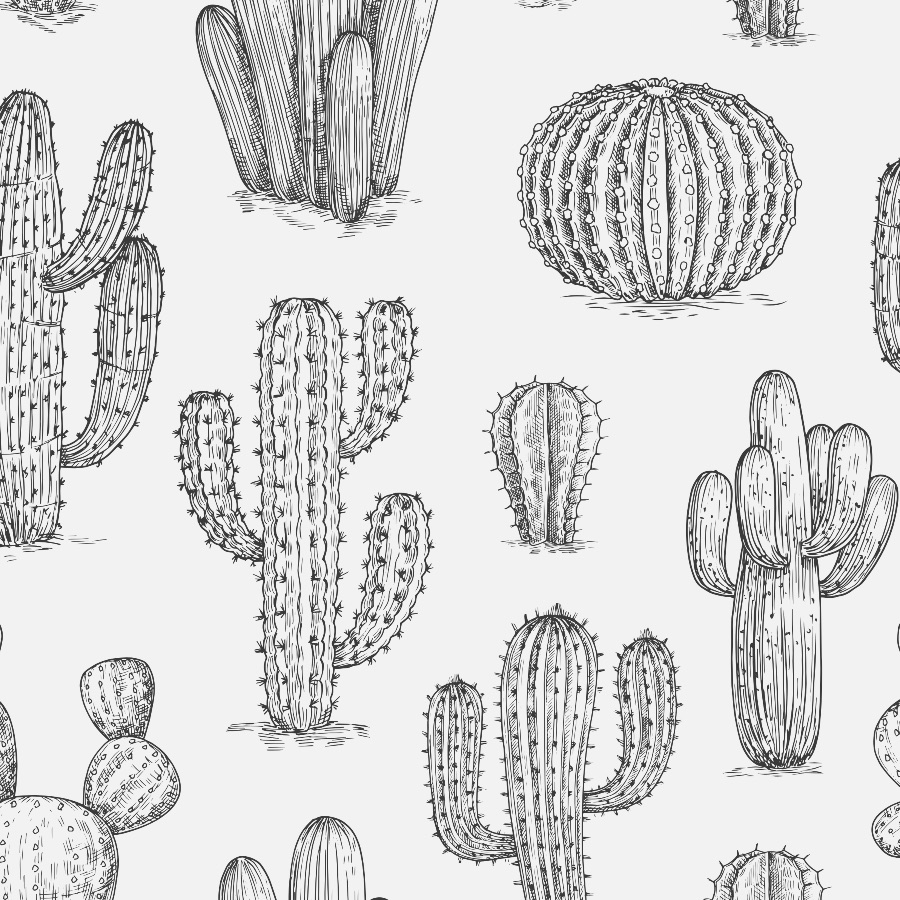 Cactus Wallpaper