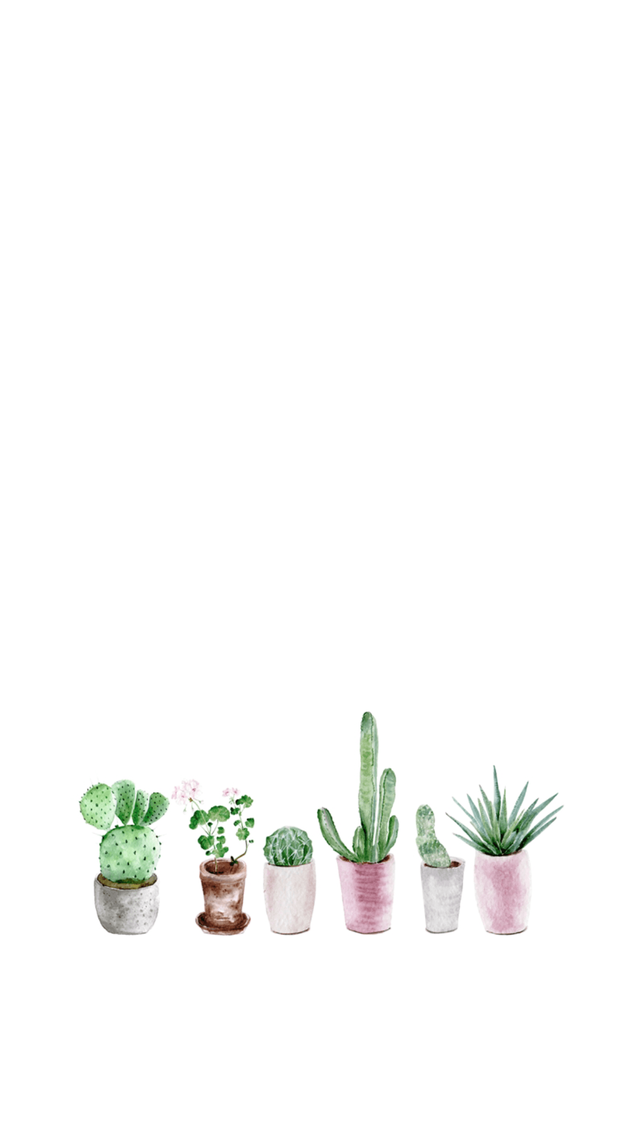 Cactus Wallpaper