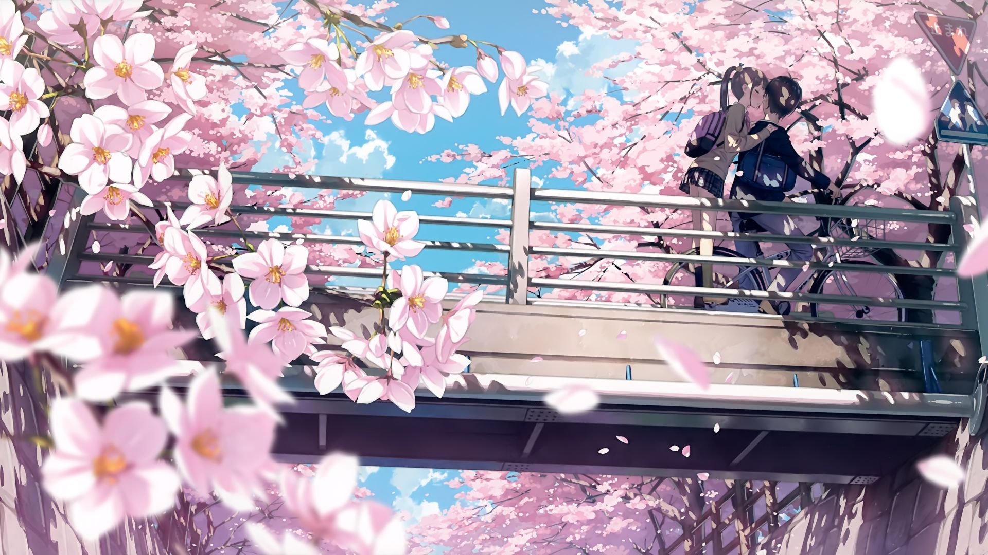 Cherry Blossom Wallpaper