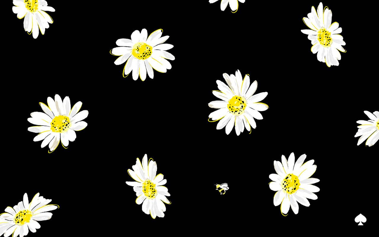 Kate Spade Wallpaper