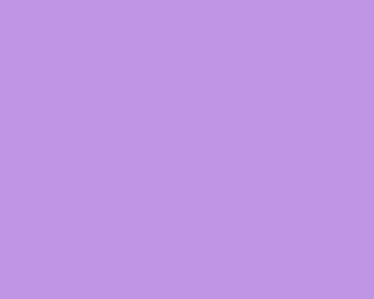 Lavender Wallpaper